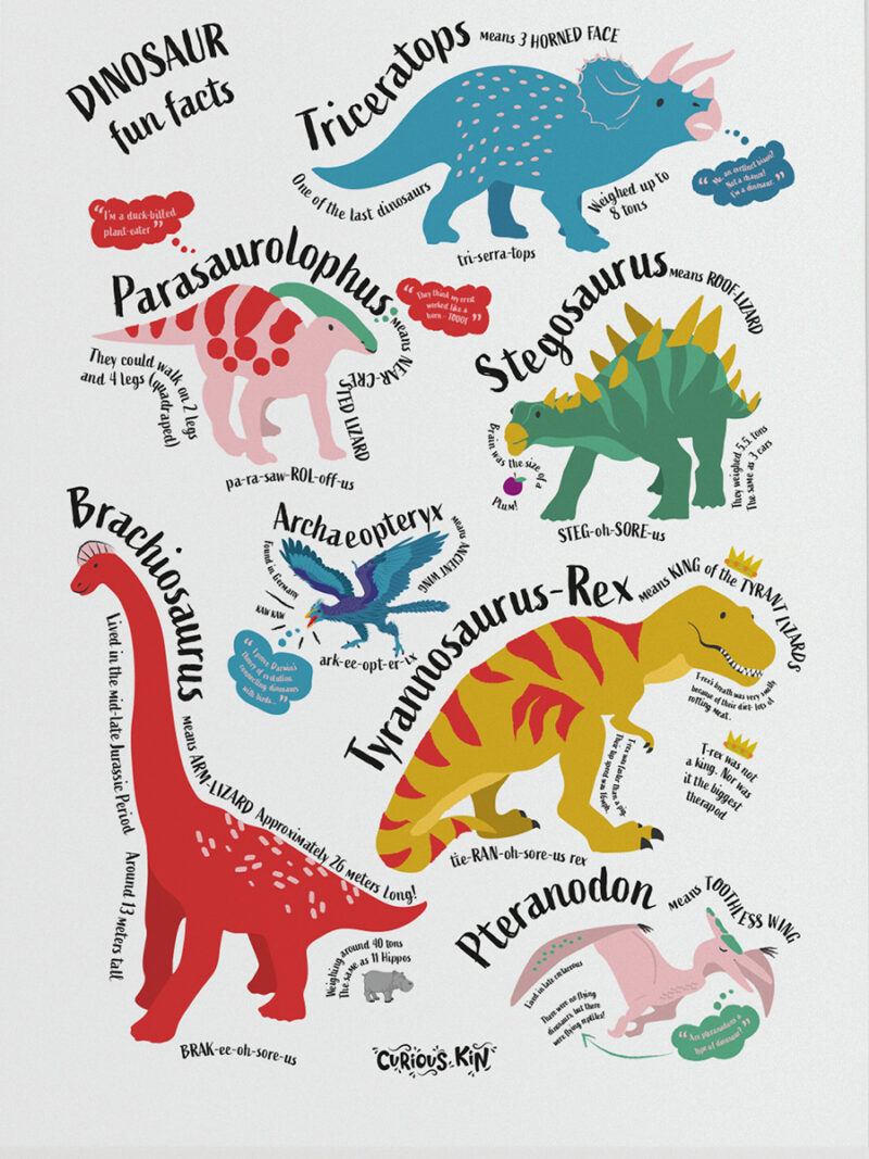 illustrated dinosaur fun facts poster