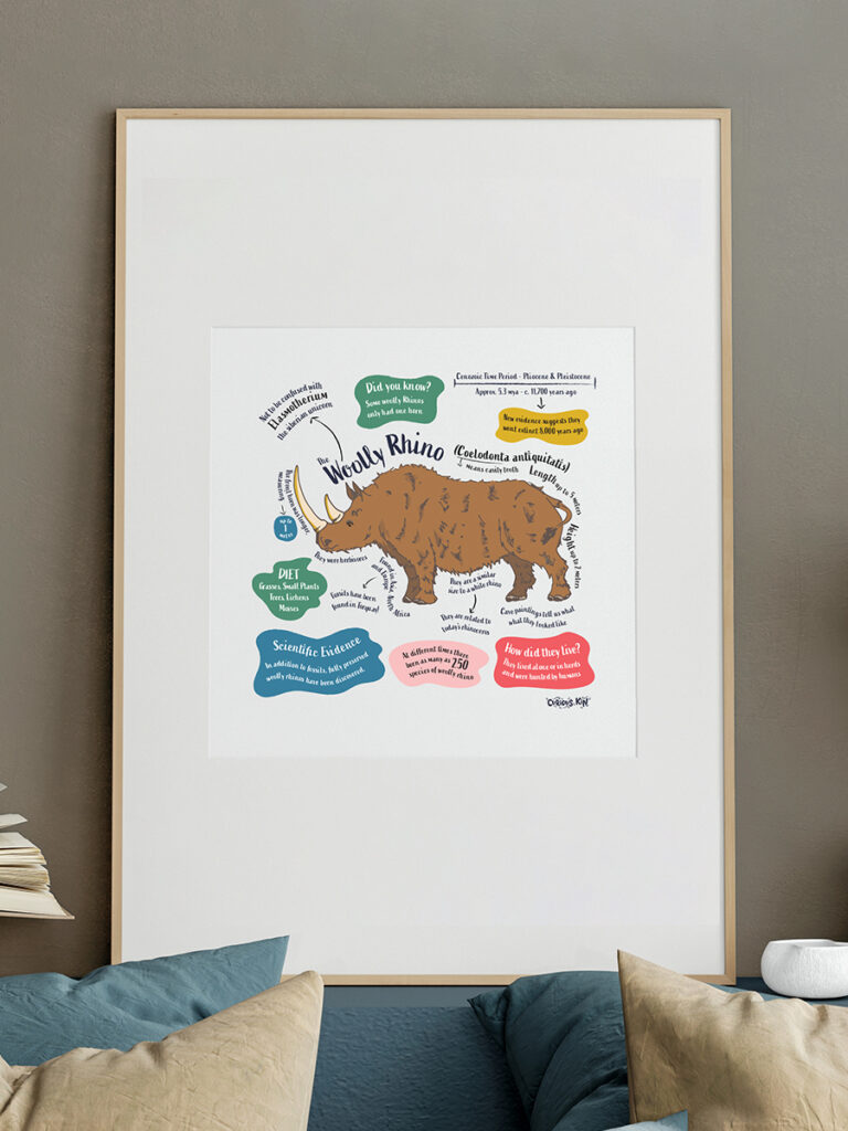 framed illustrated woolly rhino fun facts