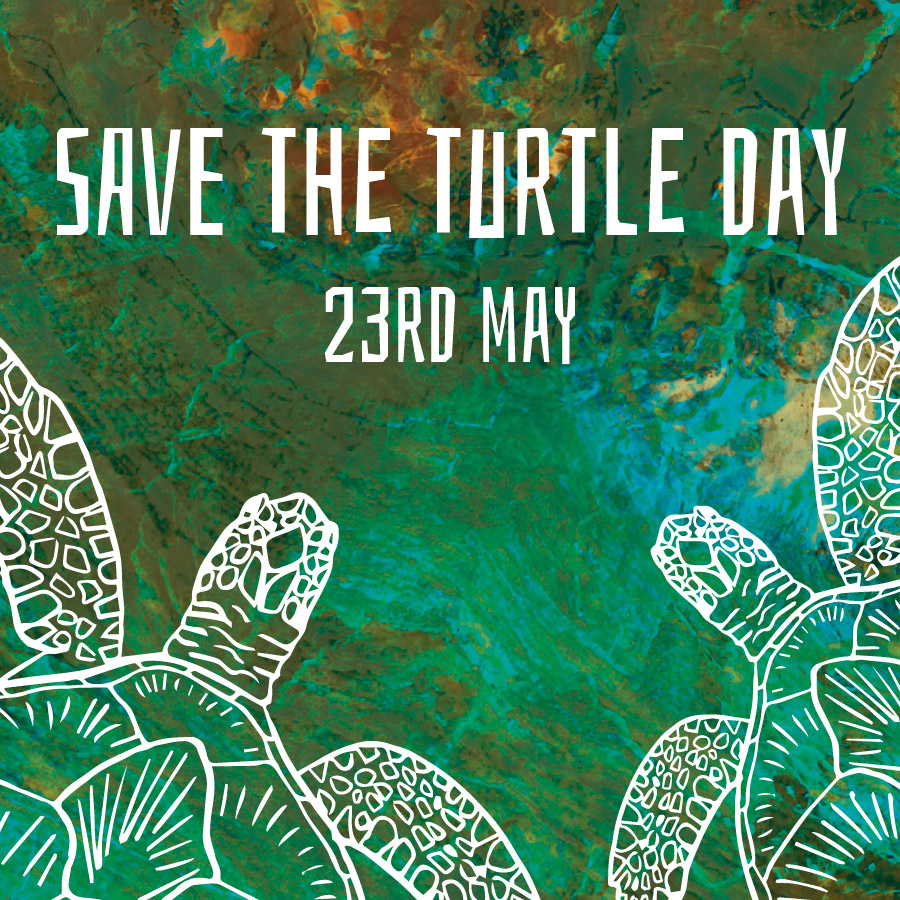 blog image of sea turtles swimming over a textured green and blue background with heading save the turtle day 23rd May