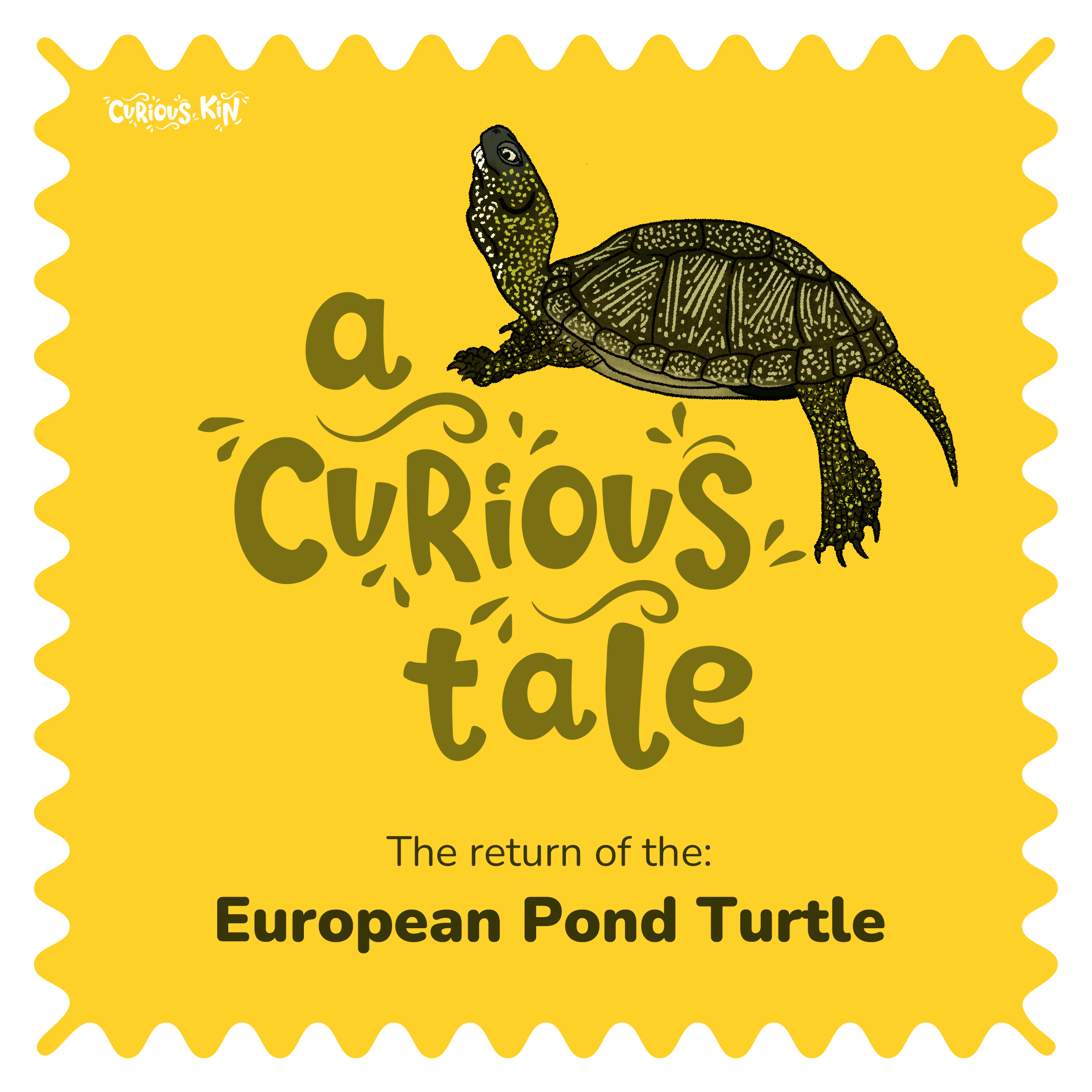 A curious tale about the reintroduction of the european pond turtle