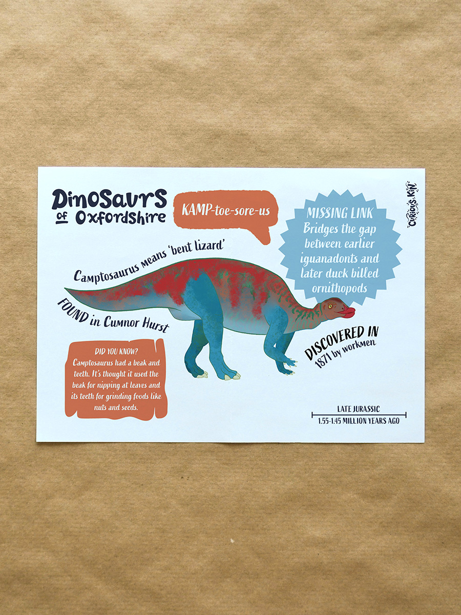 Camptosaurus Postcard