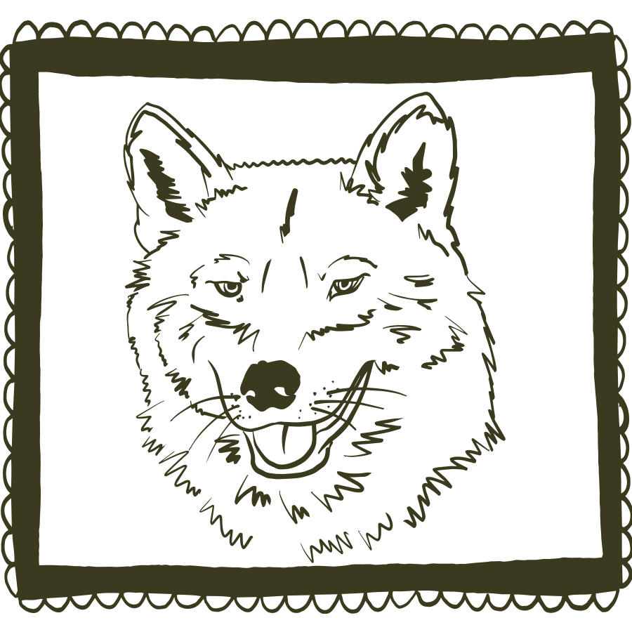 Relaxed wolf pen drawing in a pen drawn frame by min dawson