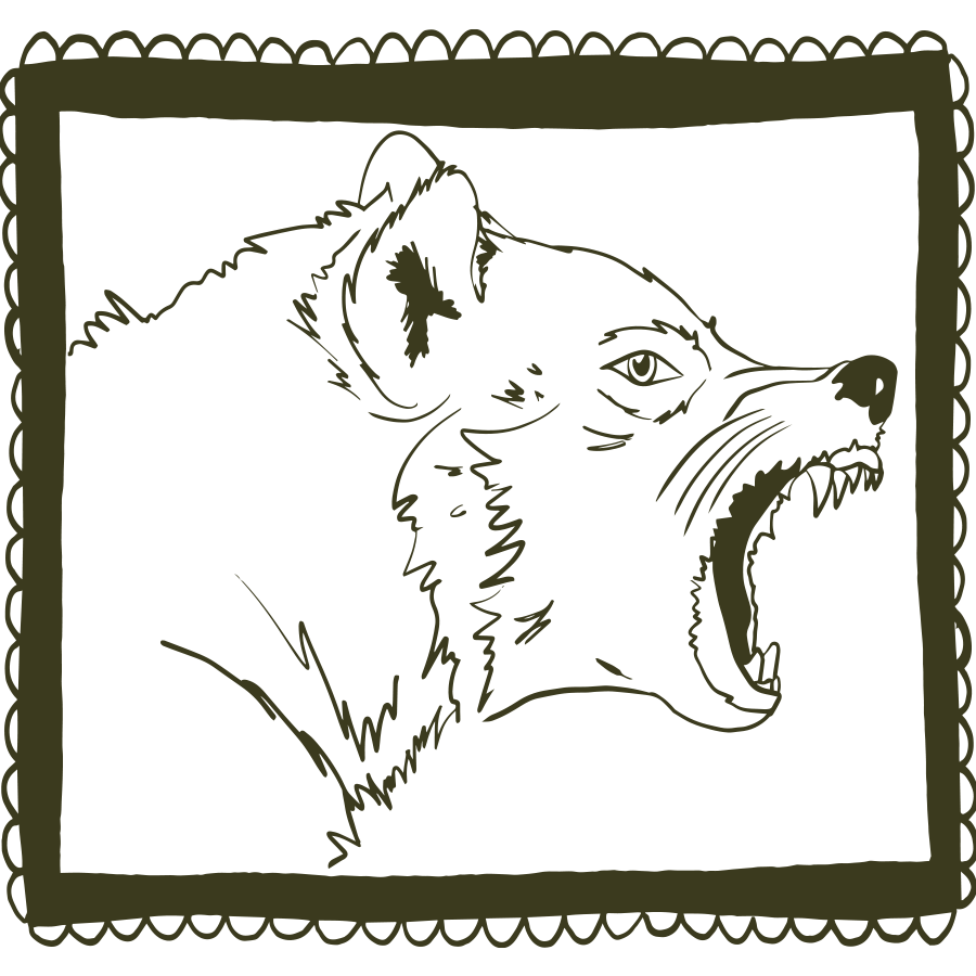 pen drawing of a aggressive wolf in a pen drawn frame by min dawson