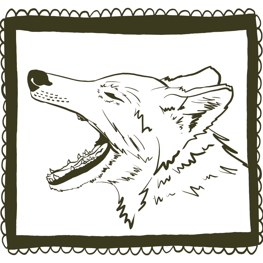 Pen drawing of a wolf yawning in a hand drawn frame by Min Dawson