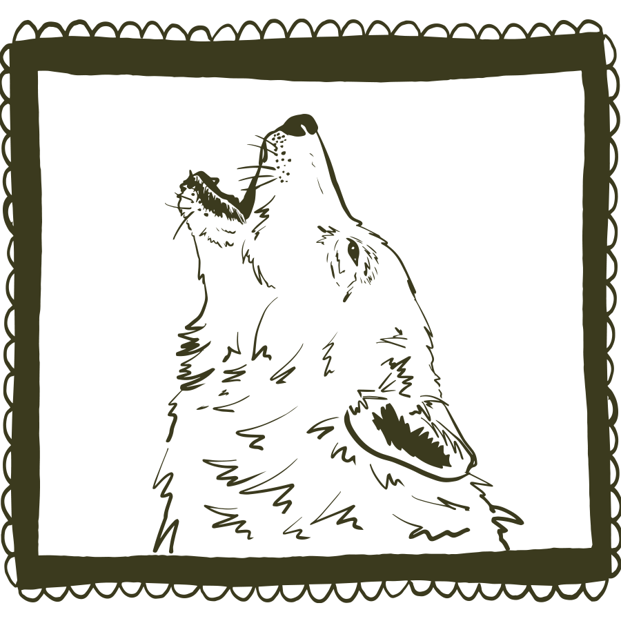 Pen drawing of a wolf howling in a hand drawn frame by min dawson