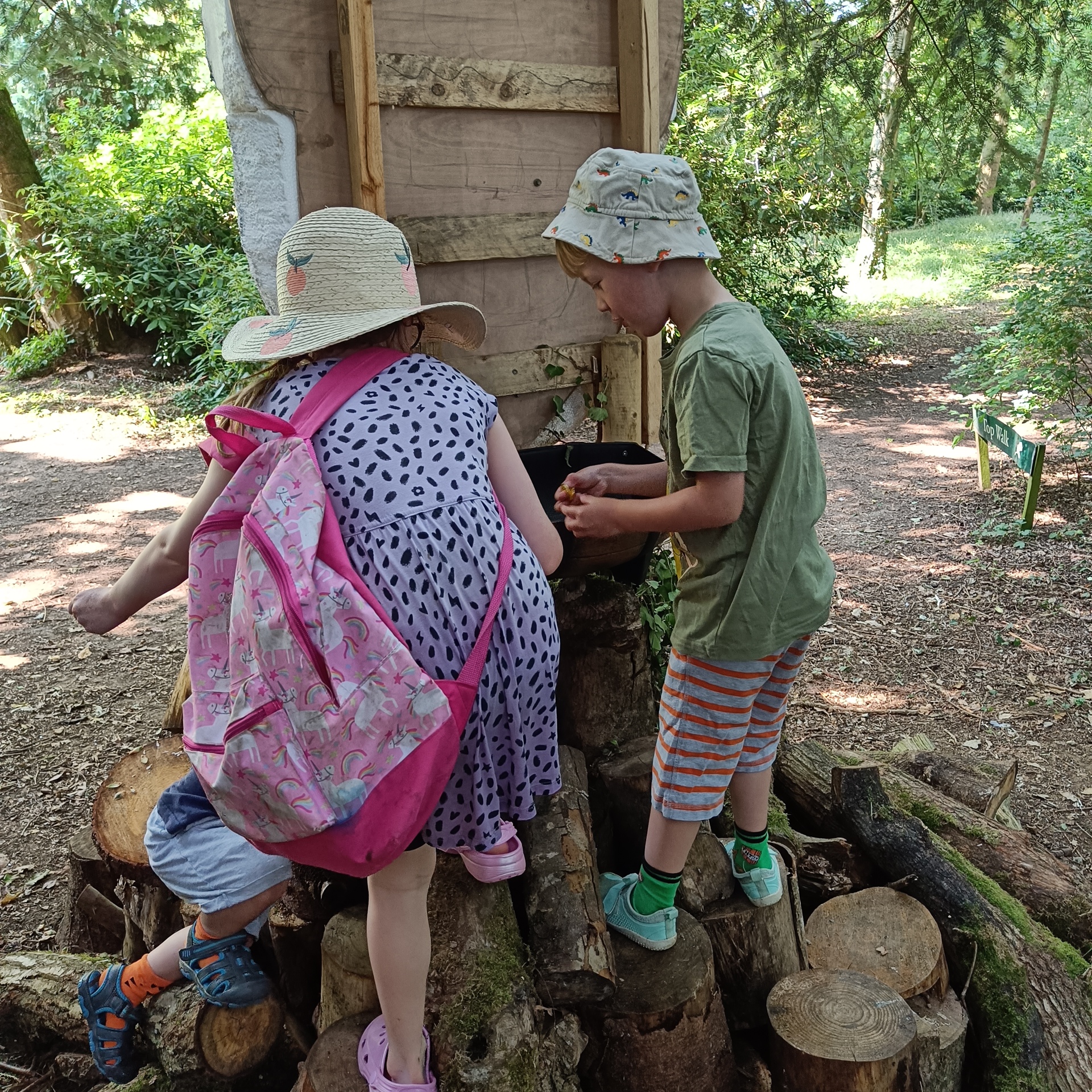 Children collecting gold coins from a hidden treasure chest on top of a pile of logs