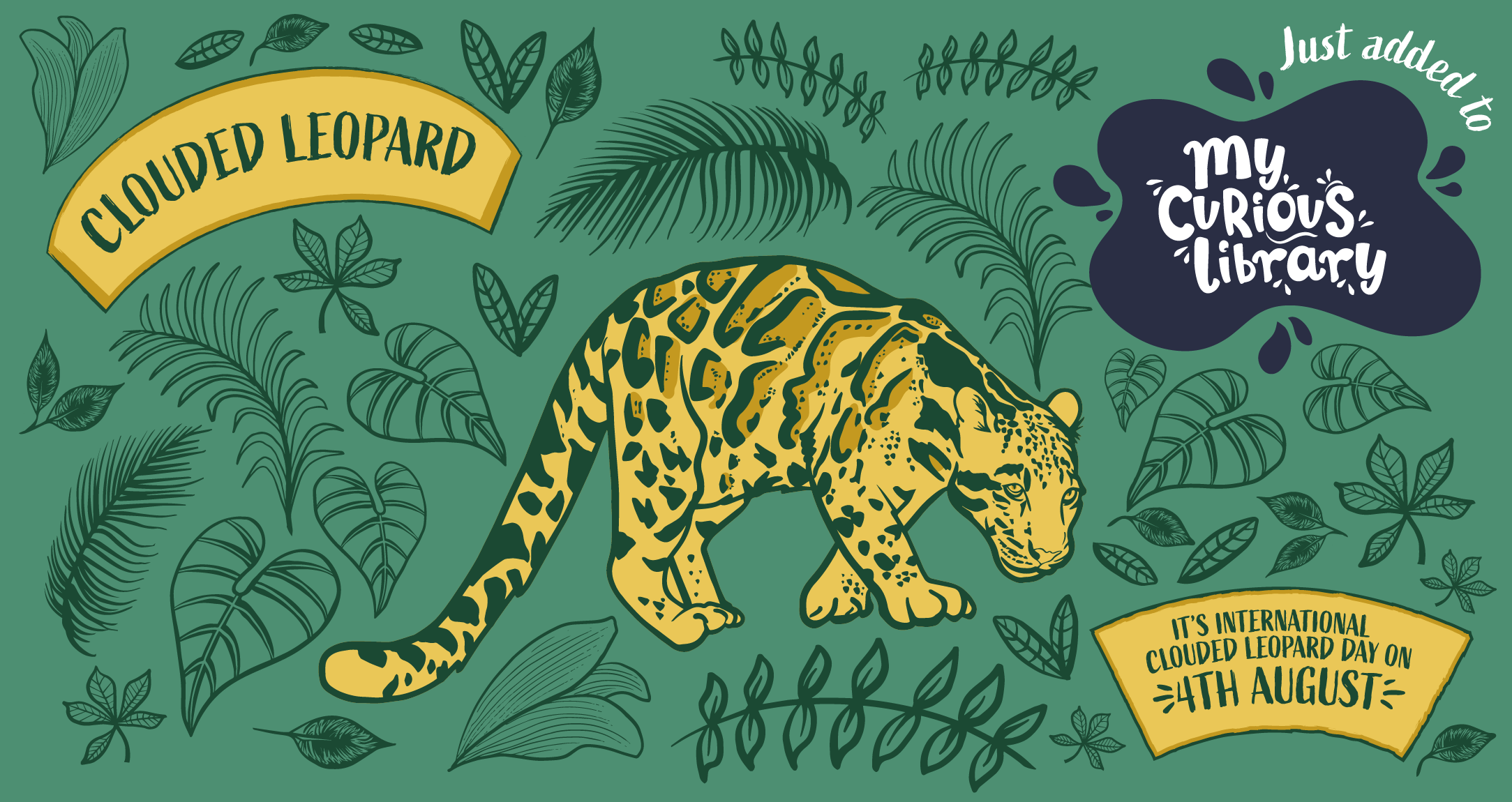 Curious Kin's banner for Curious about Clouded Leopard page for International Clouded Leopard Day 4th August