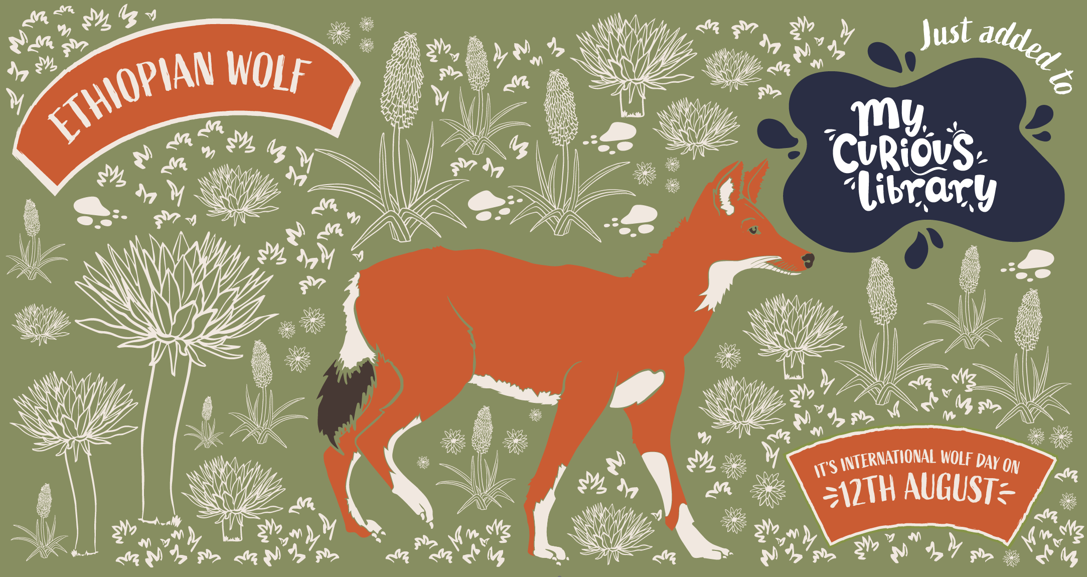 International Wolf Day banner with illustrations of ethiopian wolf, tag just added to my curious library. All illustrations by Min Dawson