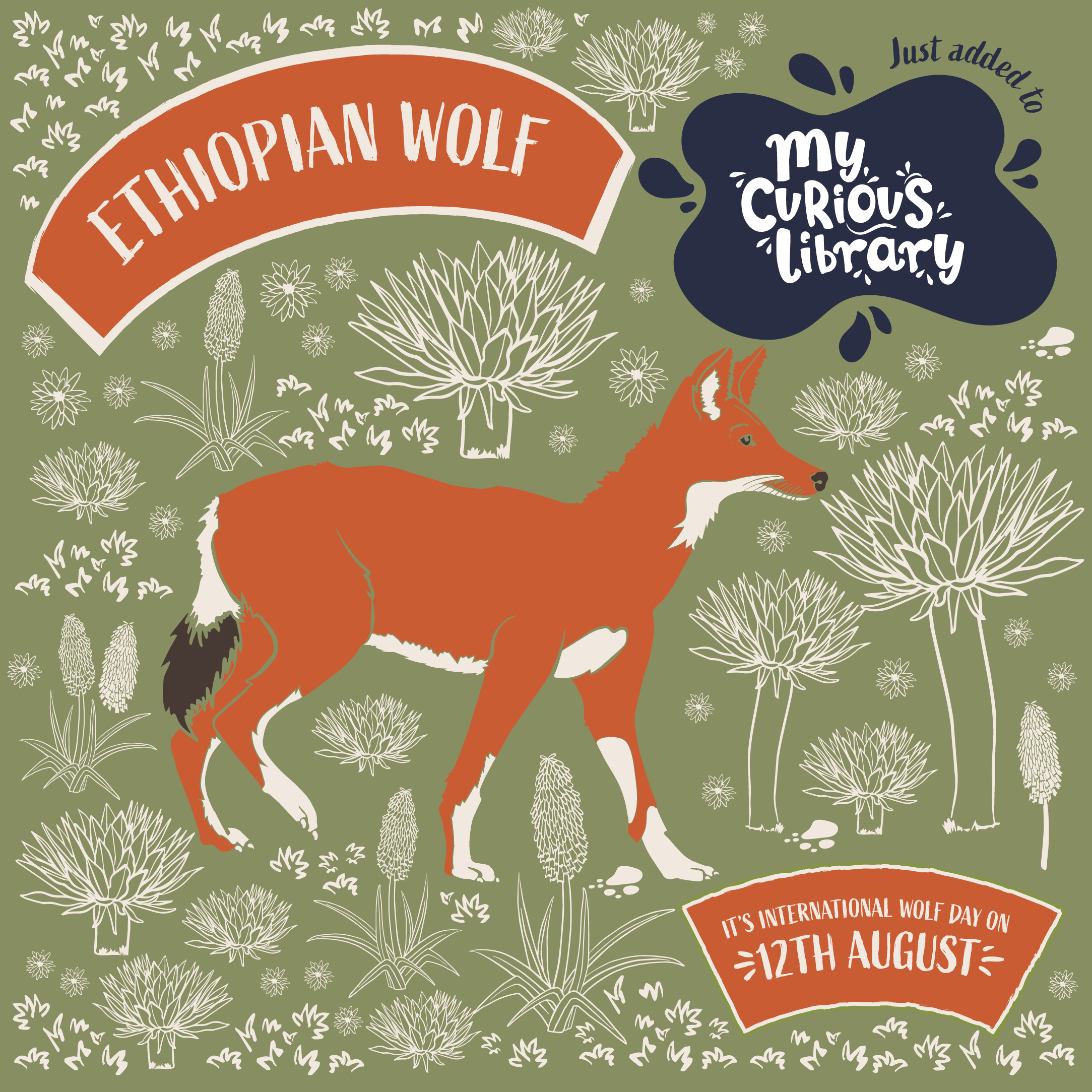 International Wolf Day banner with illustrations of ethiopian wolf, tag just added to my curious library. All illustrations by Min Dawson