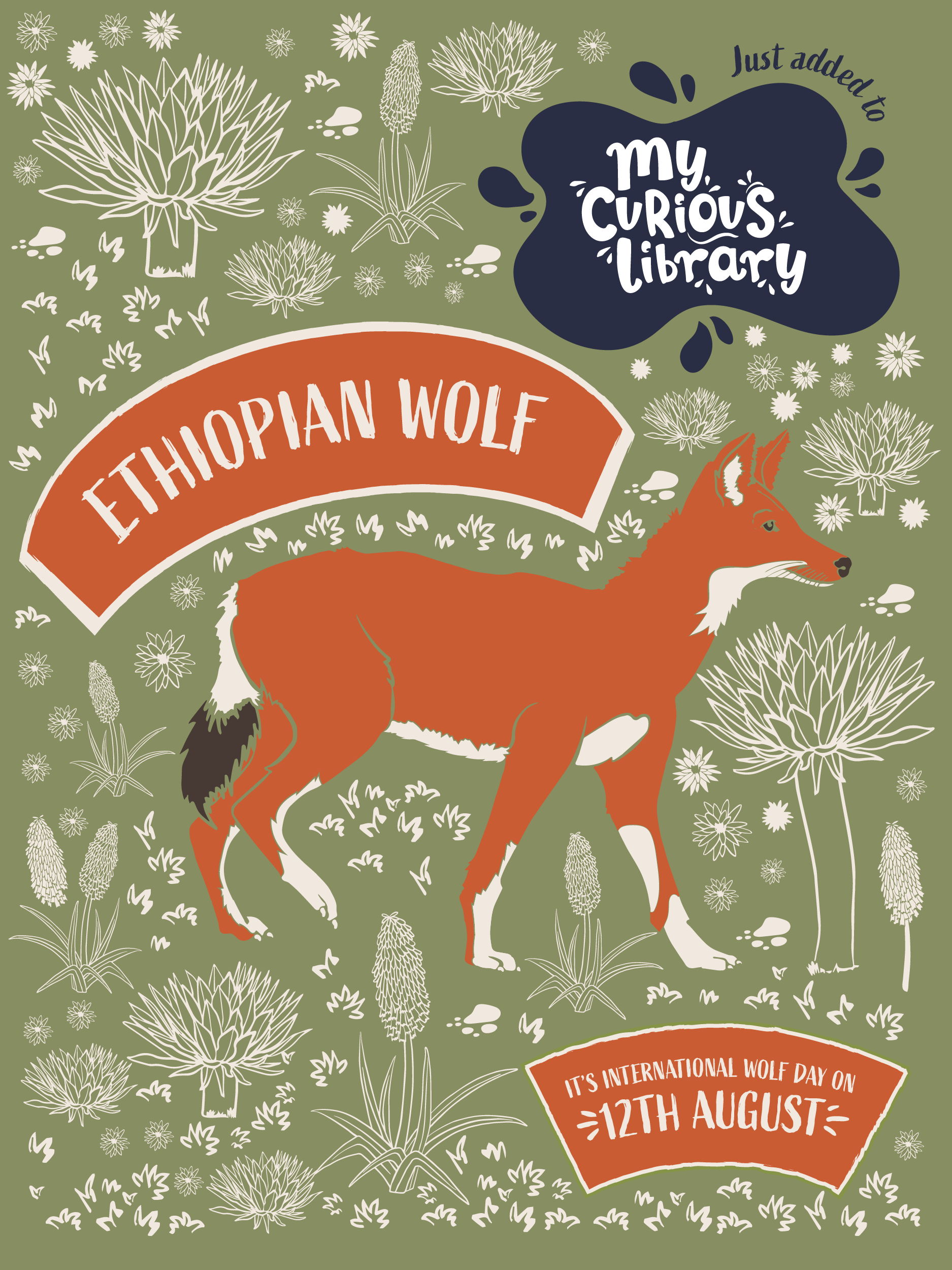 International Wolf Day banner with illustrations of ethiopian wolf, tag just added to my curious library. All illustrations by Min Dawson