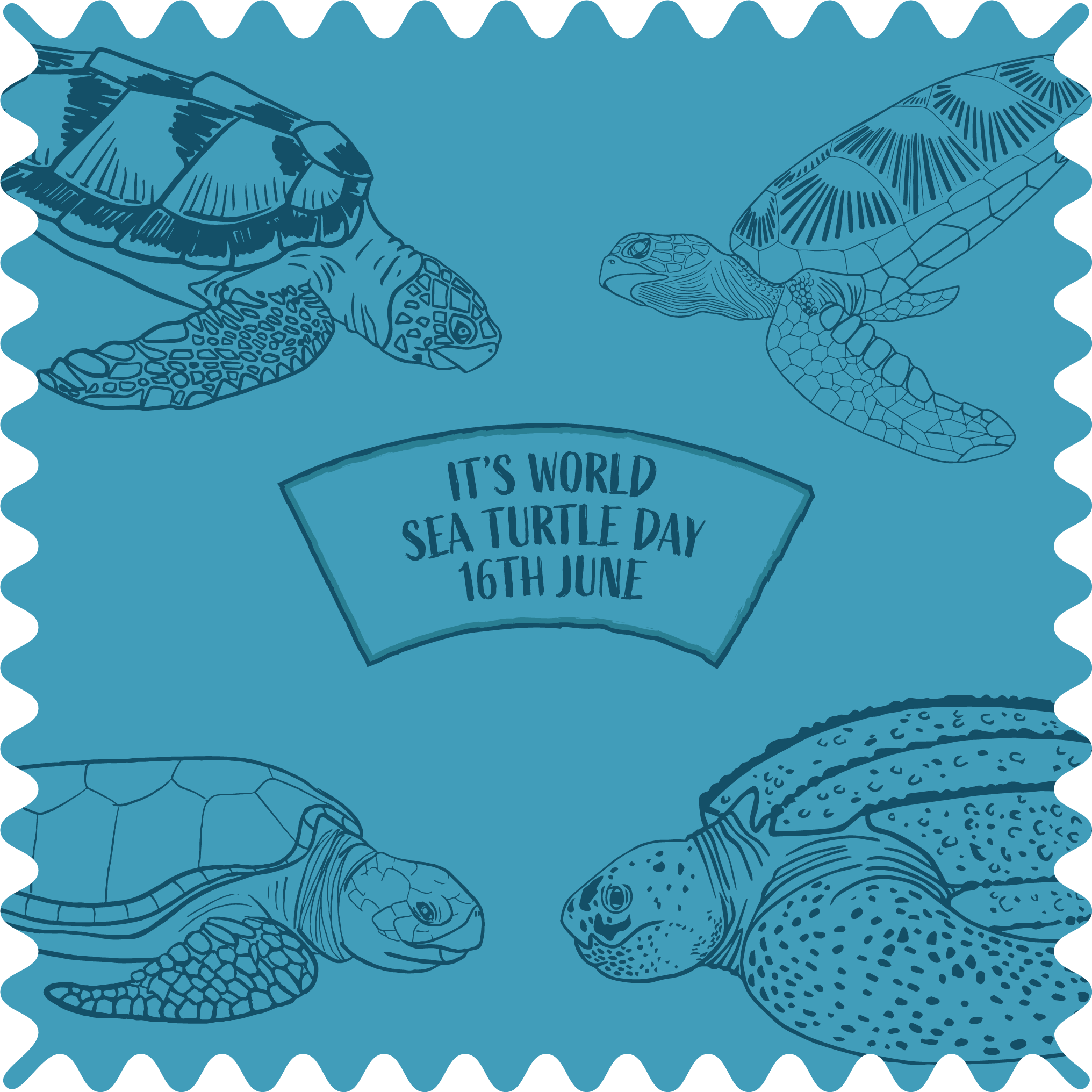 THUMBNAIL FOR WORLD SEA TURTLE DAY 16TH JUNE