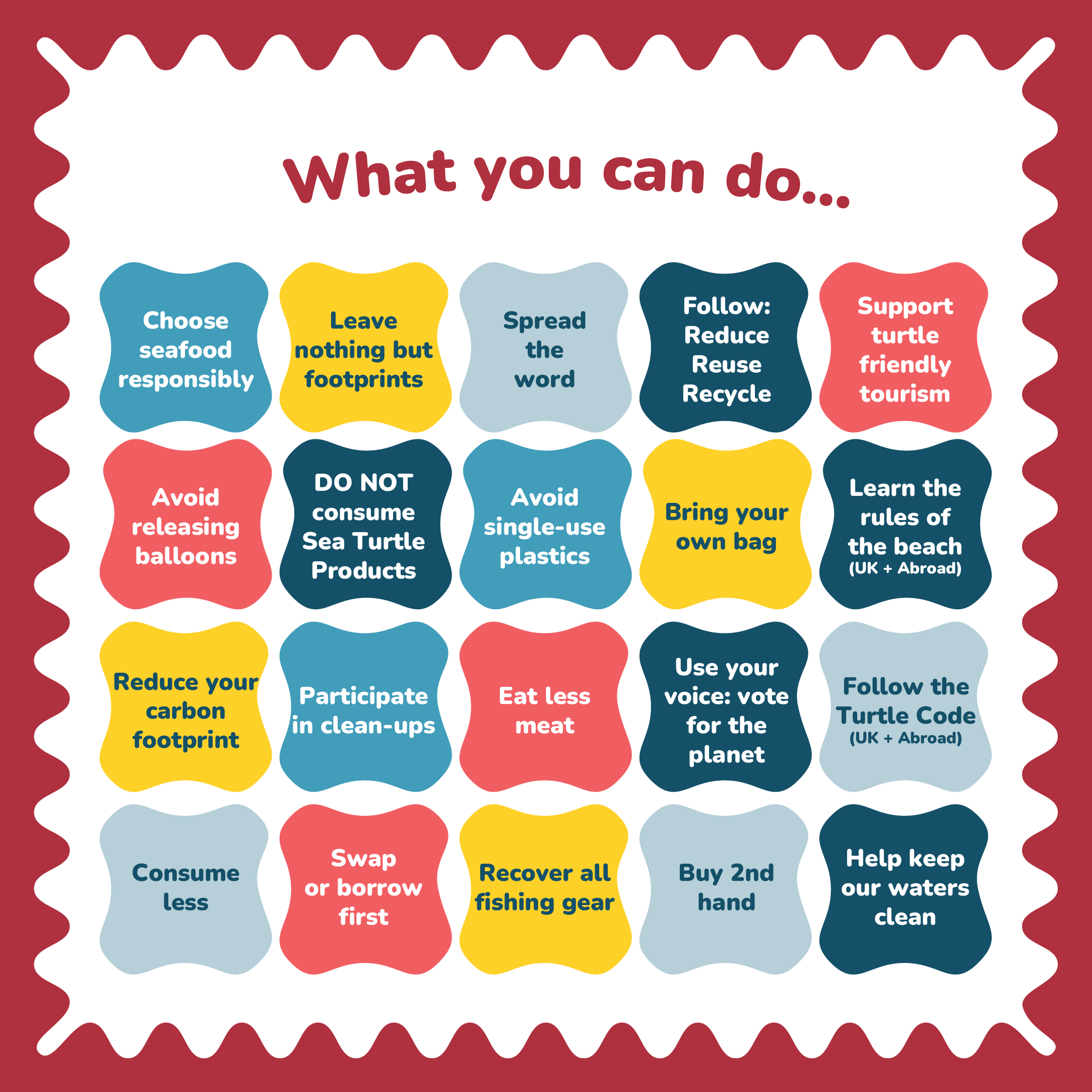 Find out what you can do - slide filled with 20 ideas to help you change habits and help ocean animals including the sea turtle