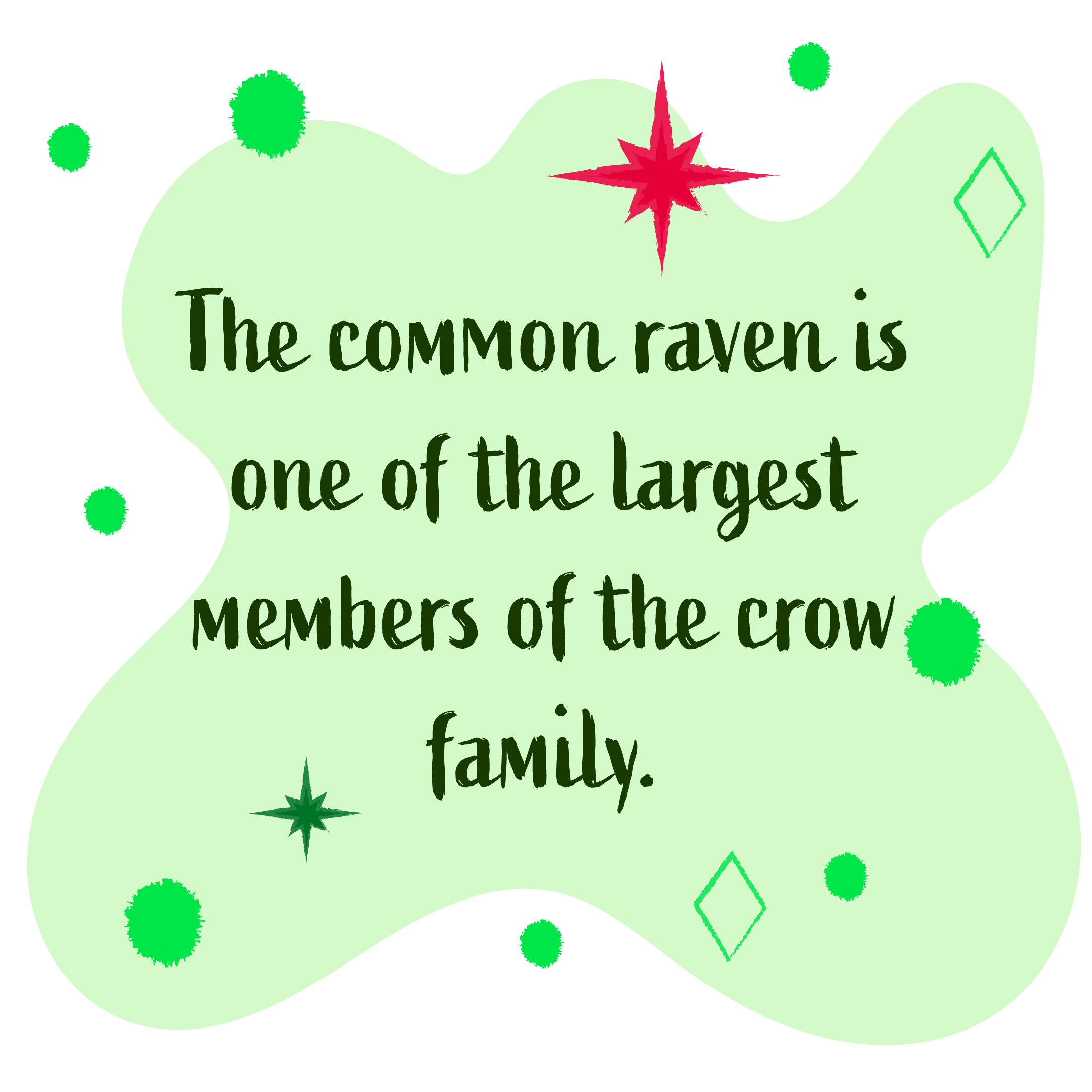 The common raven is one of the largest members of the crow family