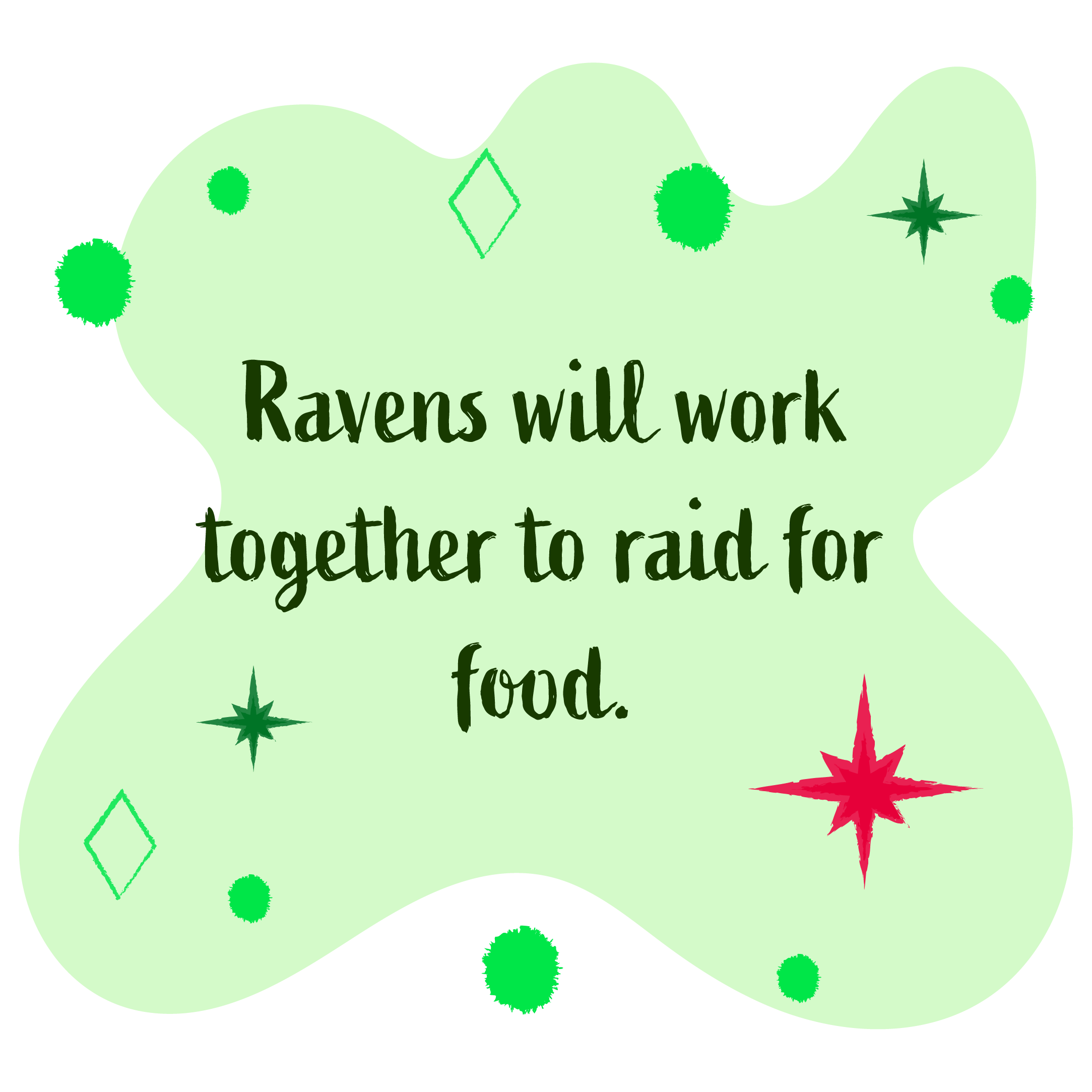 Common ravens will work together to raid for food.