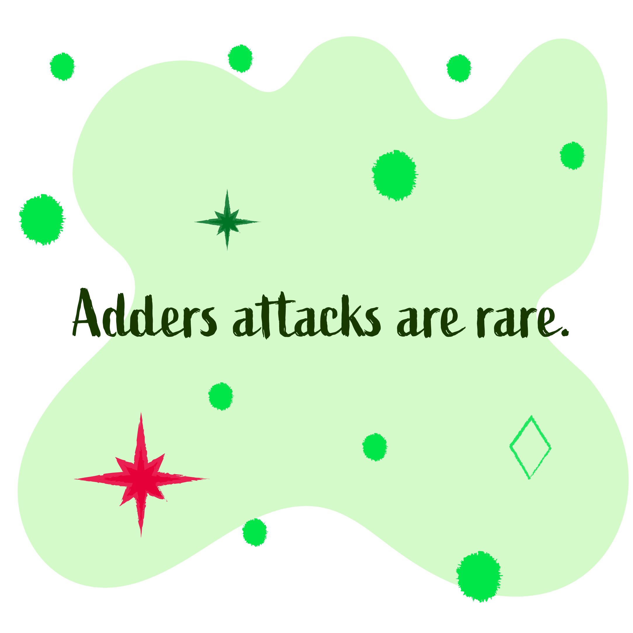 Adder attacks are rare