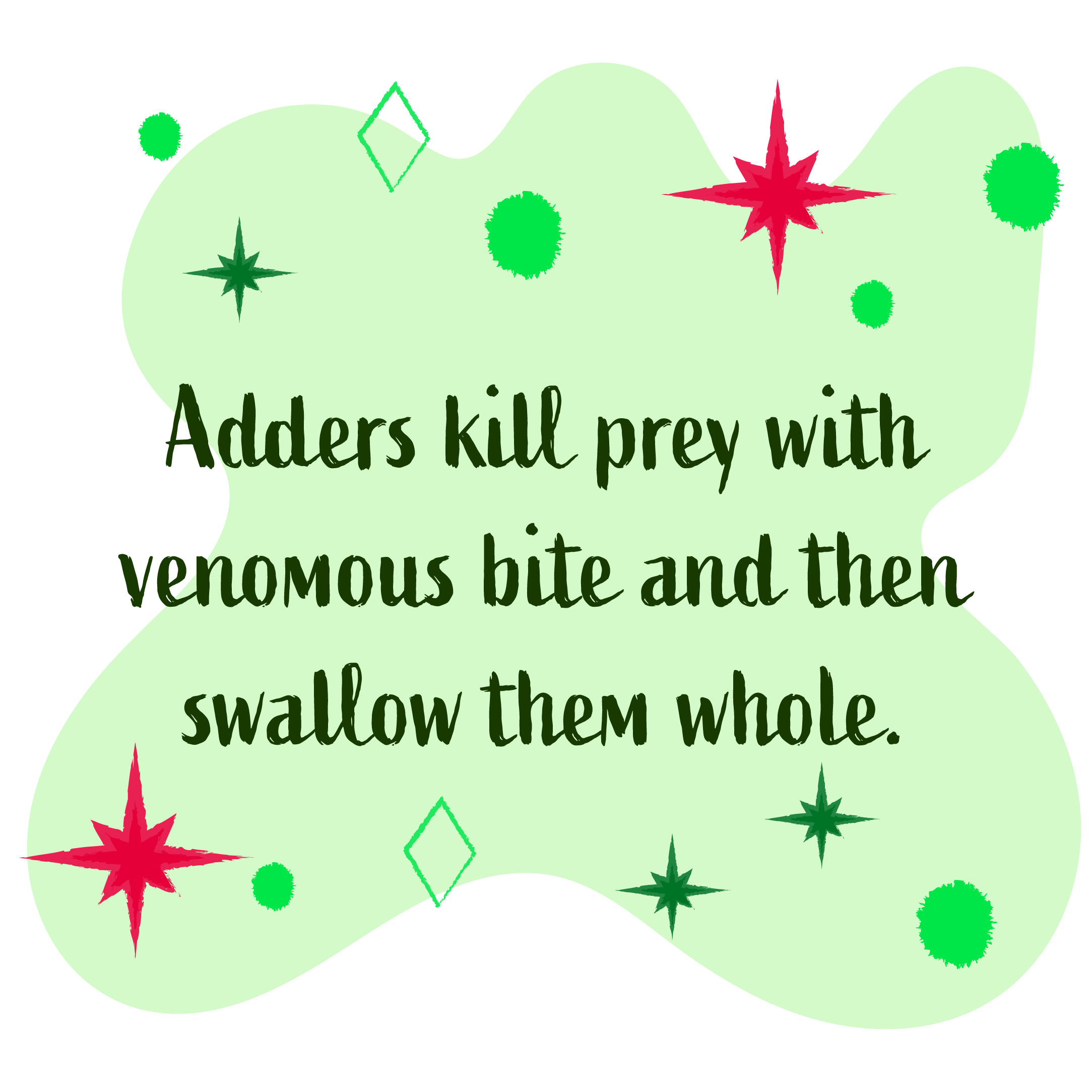 Adders will kill prey with a venomous bite and eat them whole.