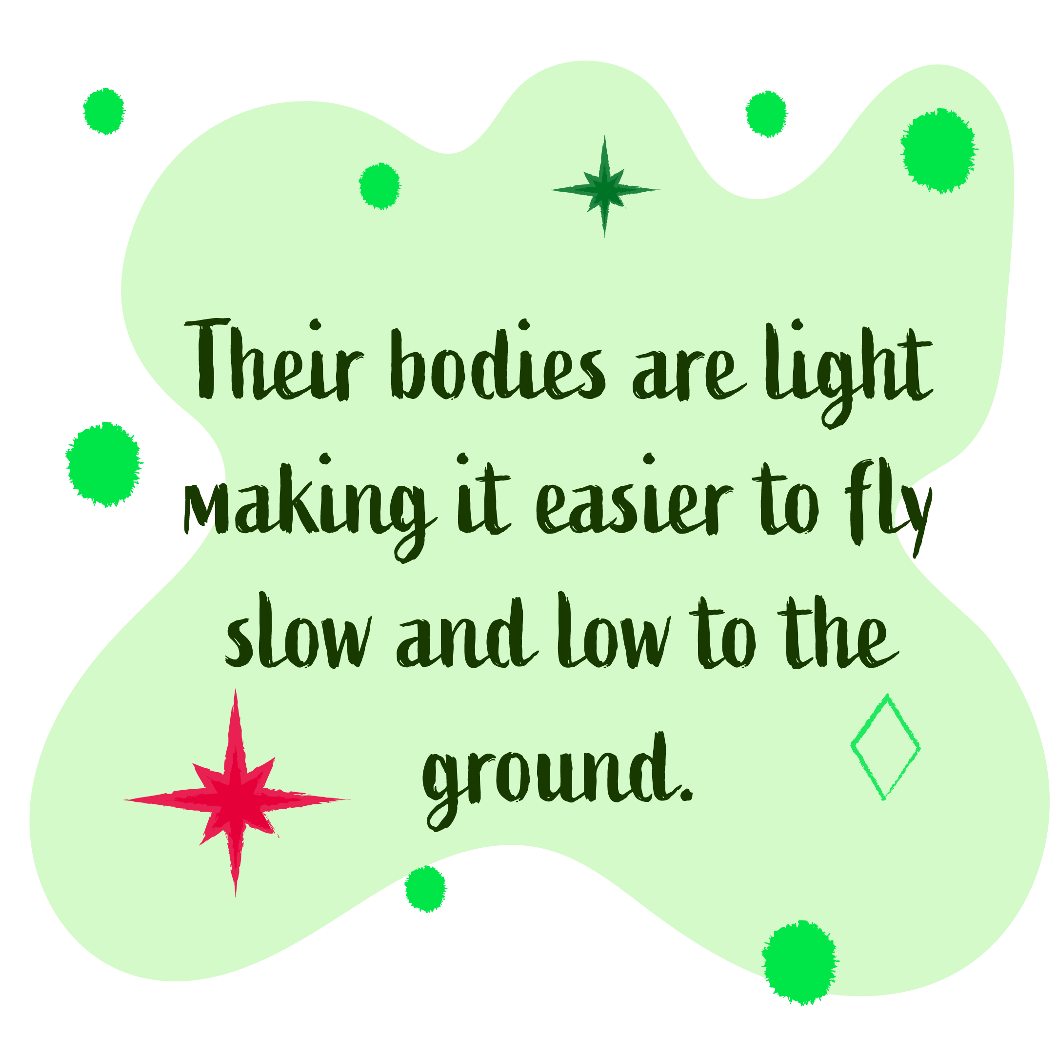 Their bodies are light making it easier to fly slow and low to the ground. 