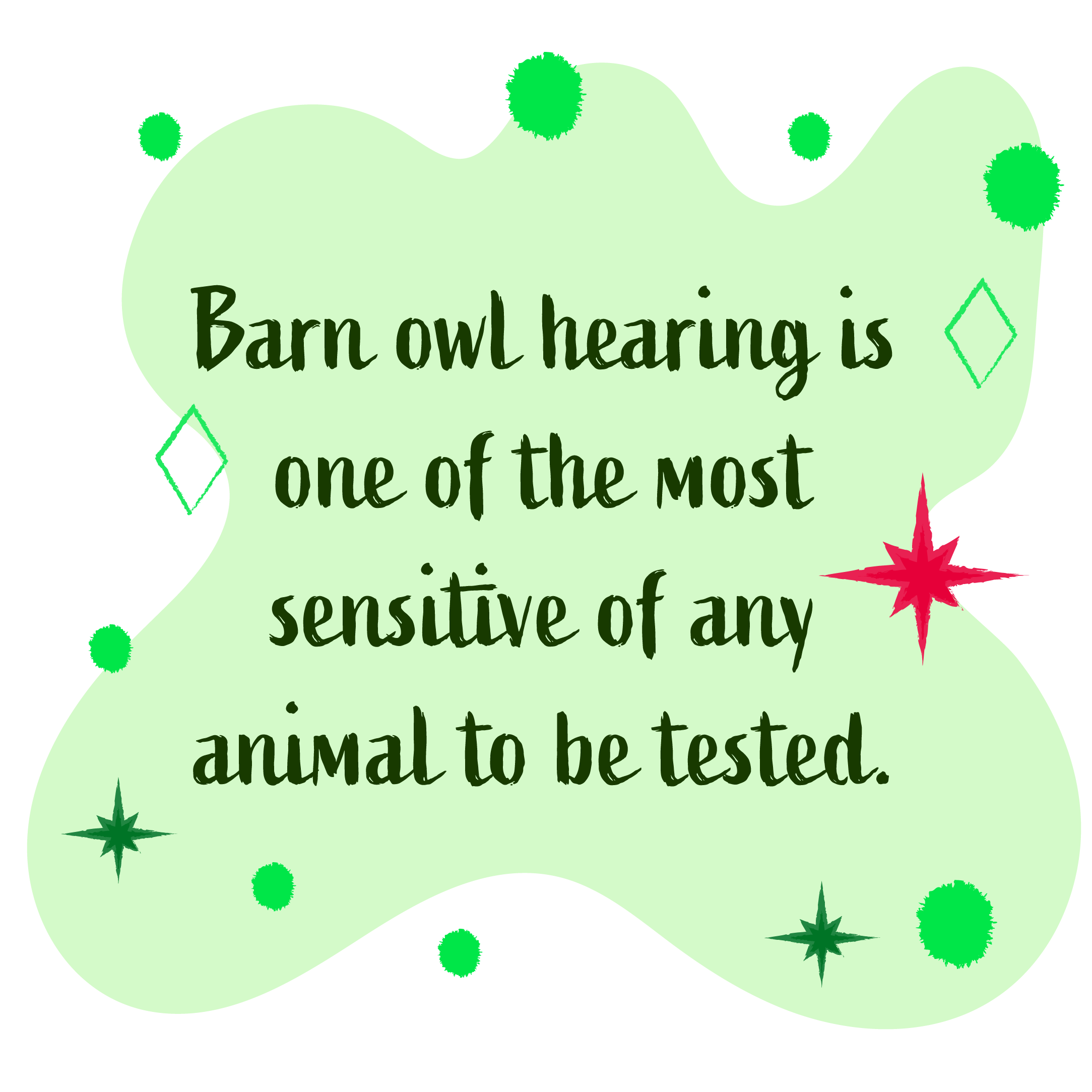 Barn owl hearing is one of the most sensitive of any animal to be tested.