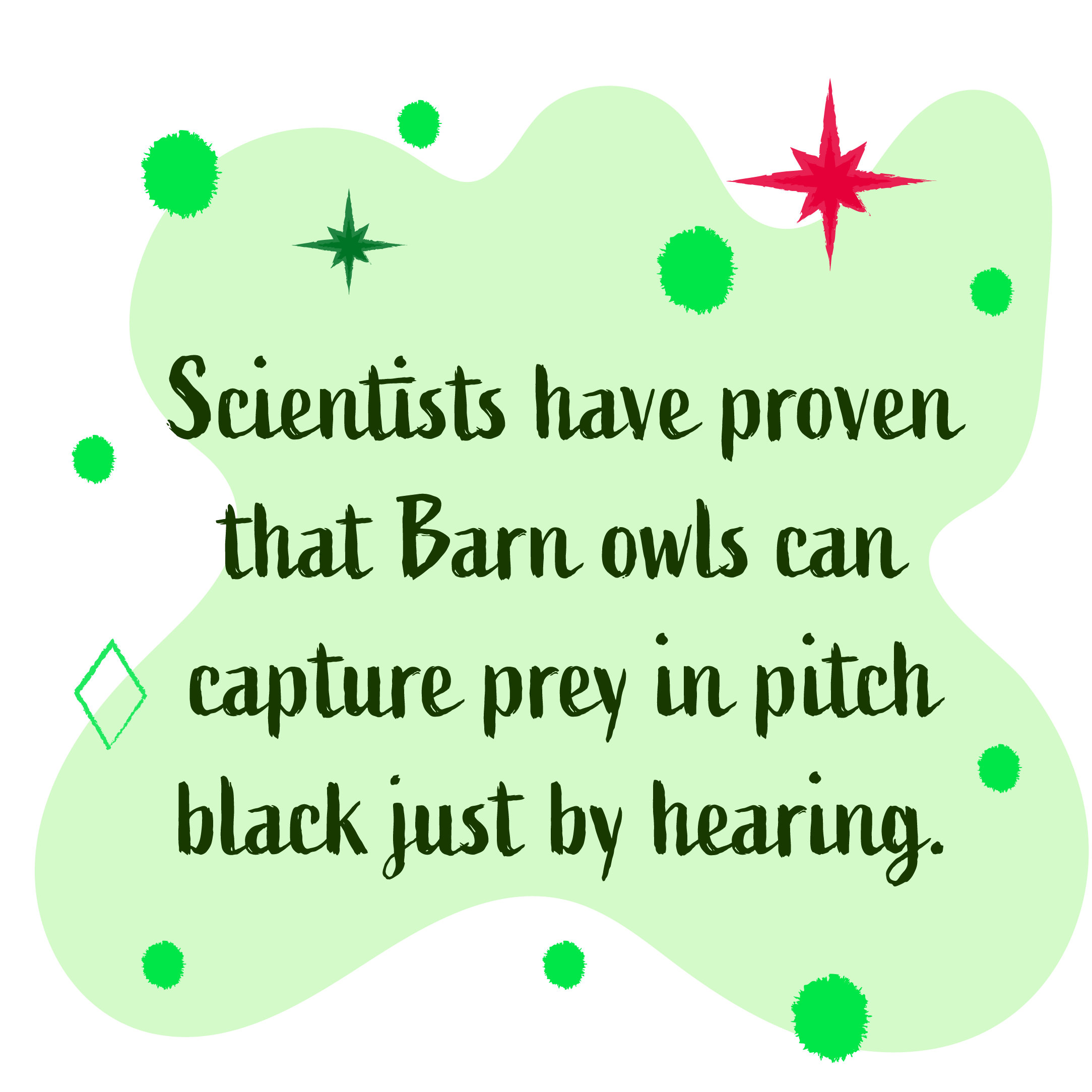 Scientists have proven that barn owls can succesfully catch prey in pitch black by hearing alone.