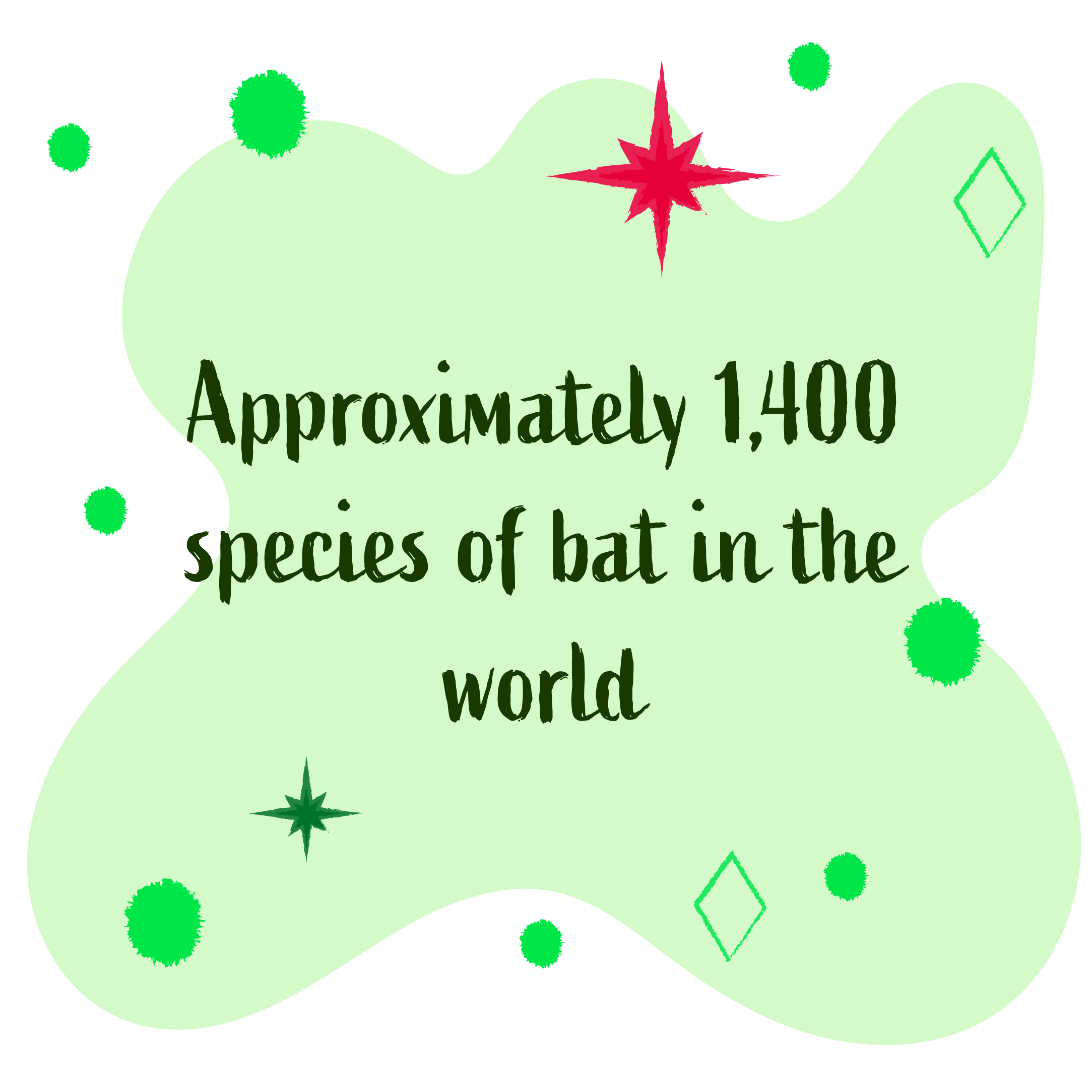 There are approximately 1,400 species of bat in the world. 