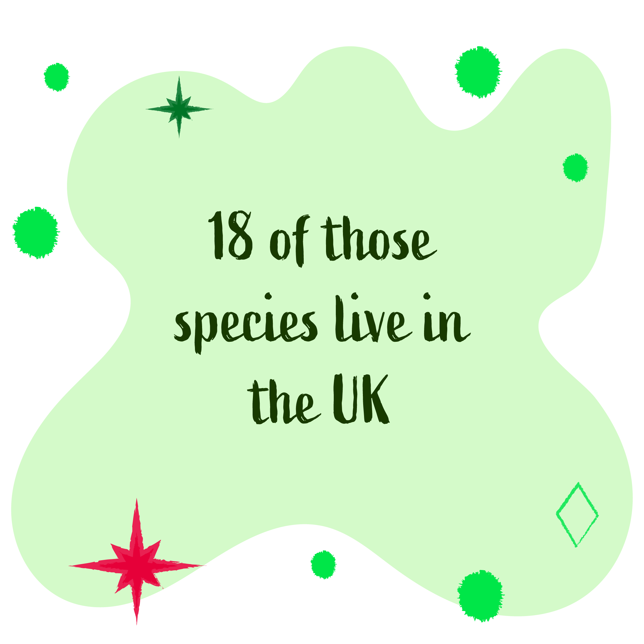 18/1400 species of bat live in the UK.