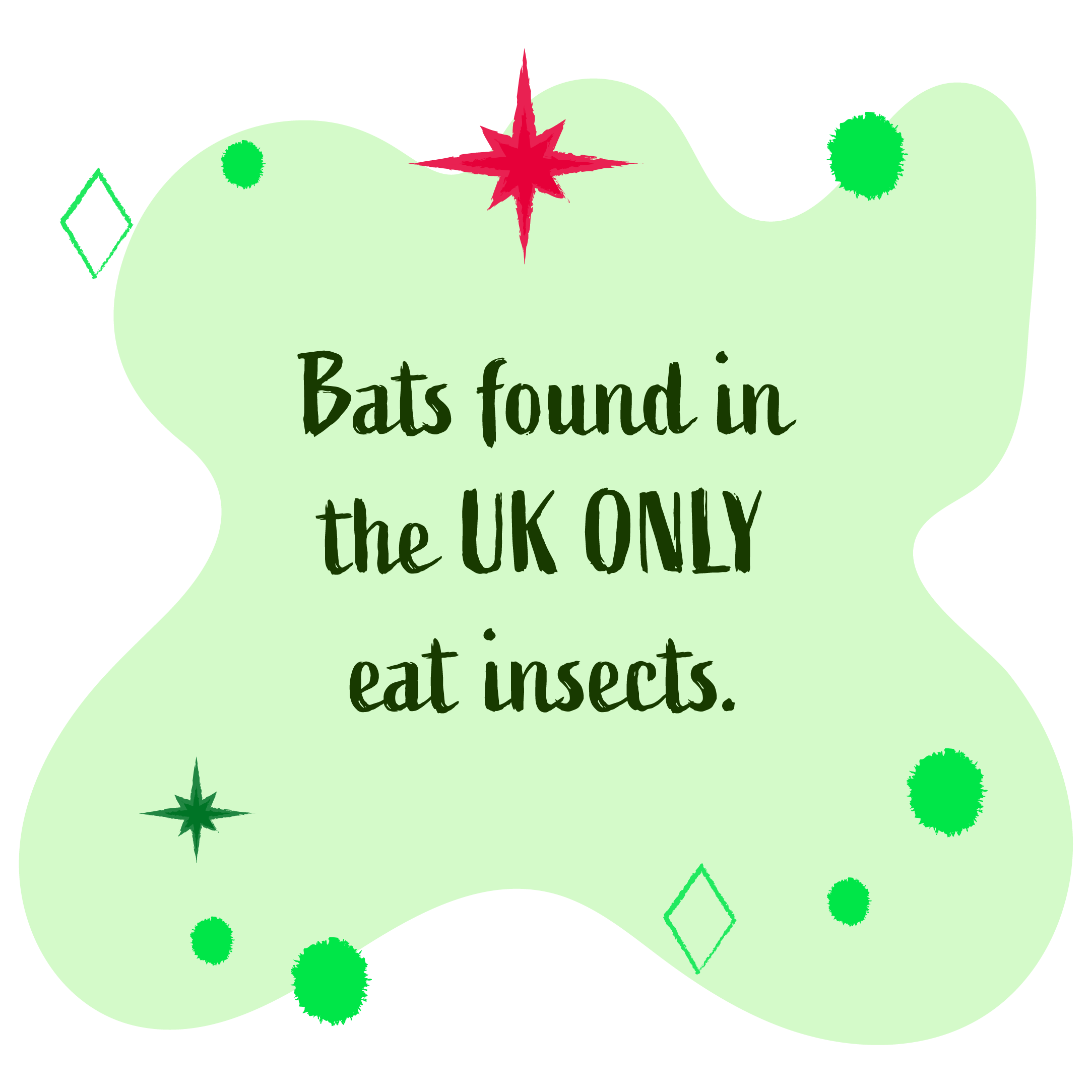 Bats found in the UK only eat insects.