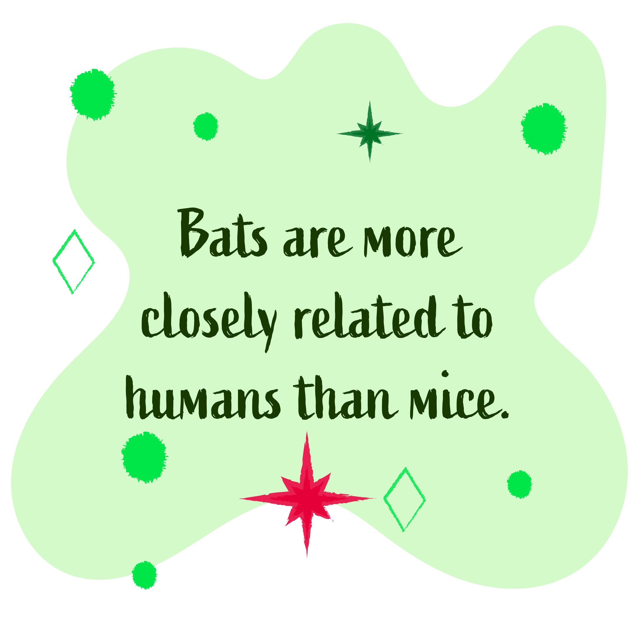 Bats are more closesly related to humans than mice.