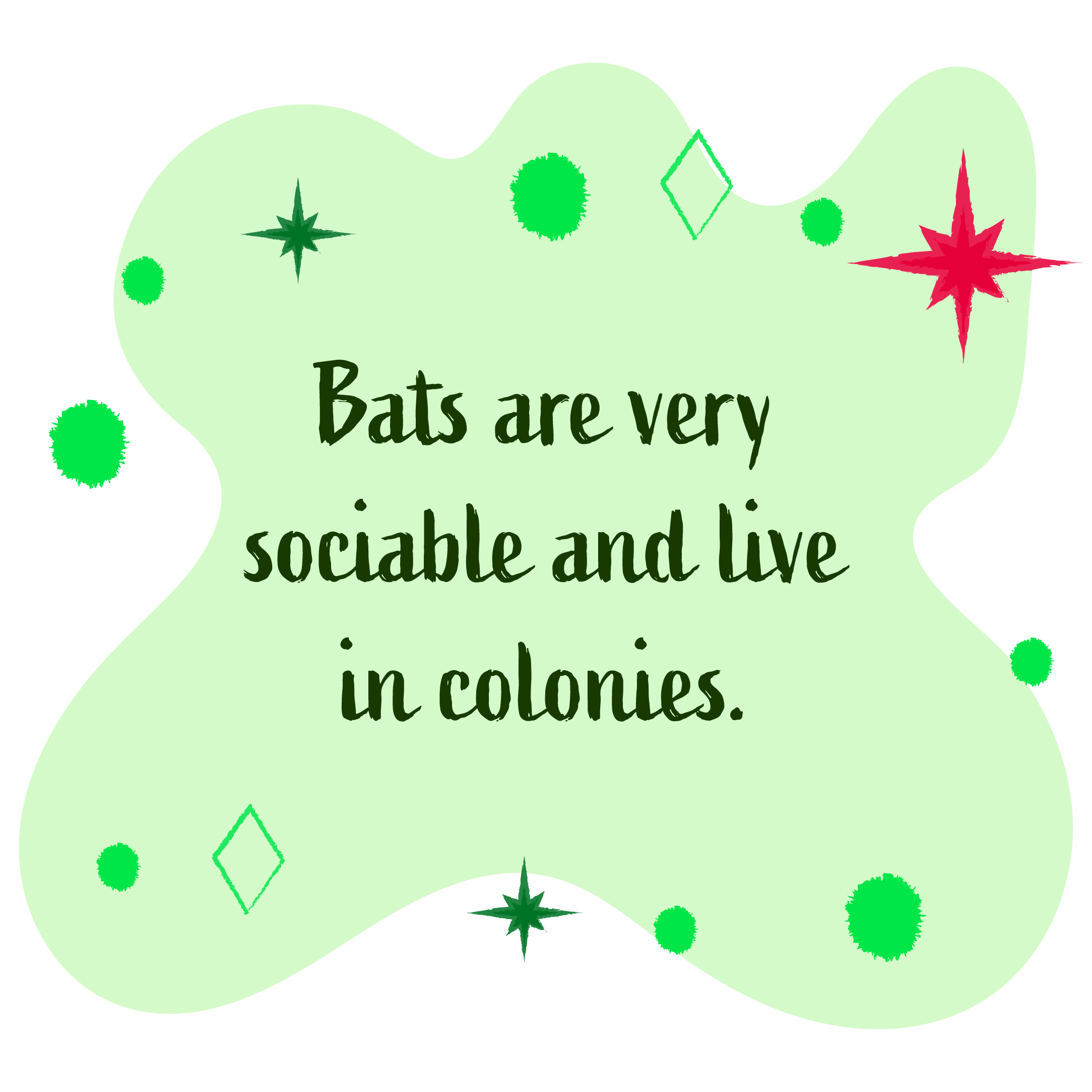 Bats are very sociable and live in colonies