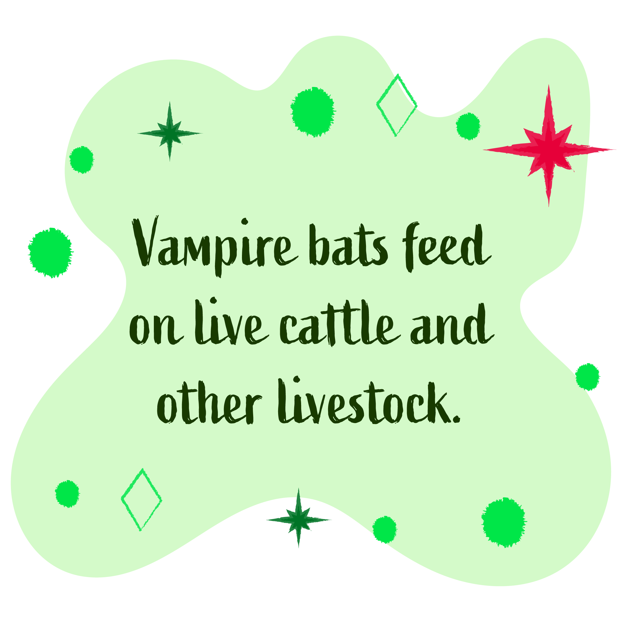 Vampire bats feed on live cattle and other livestock