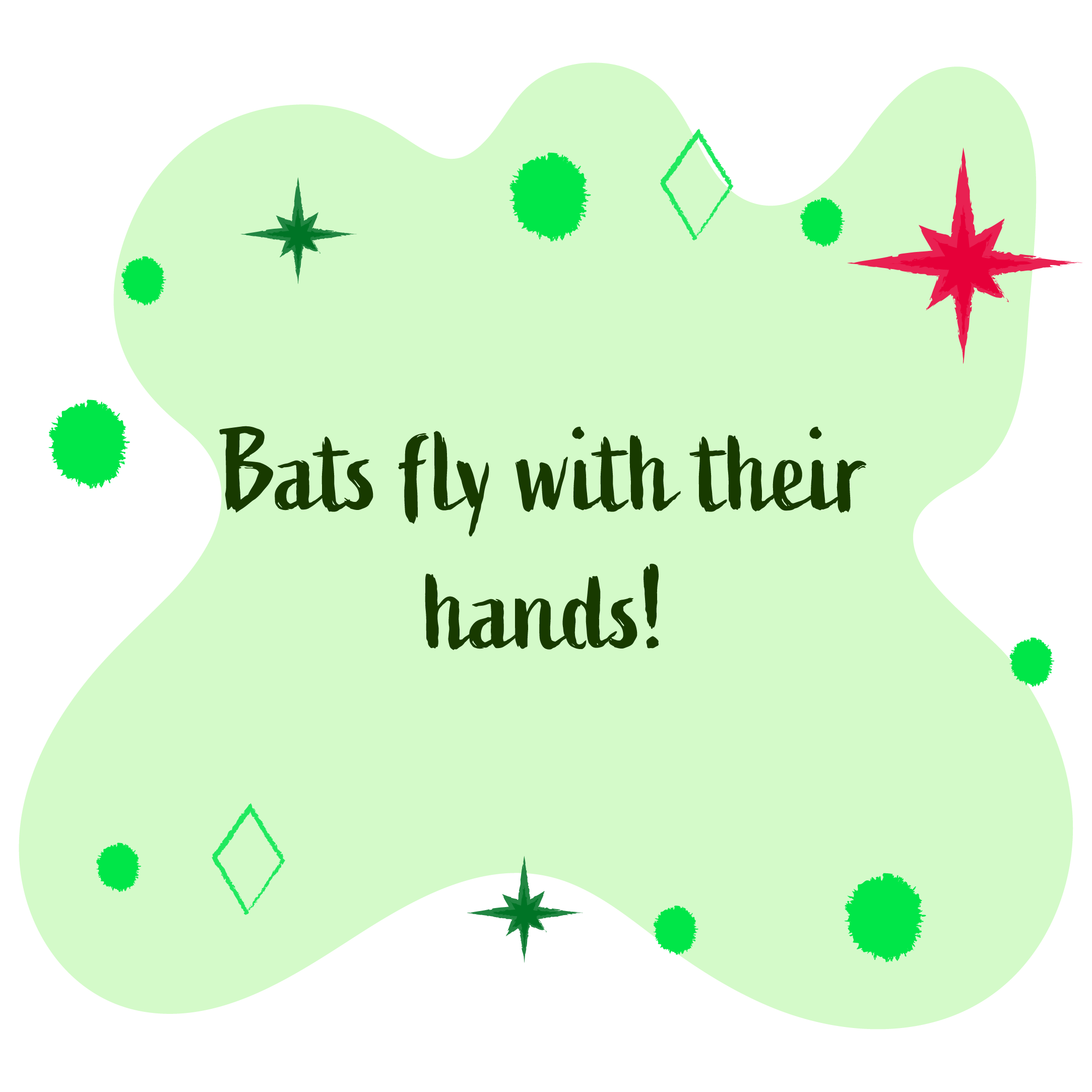 Bats fly with their hands