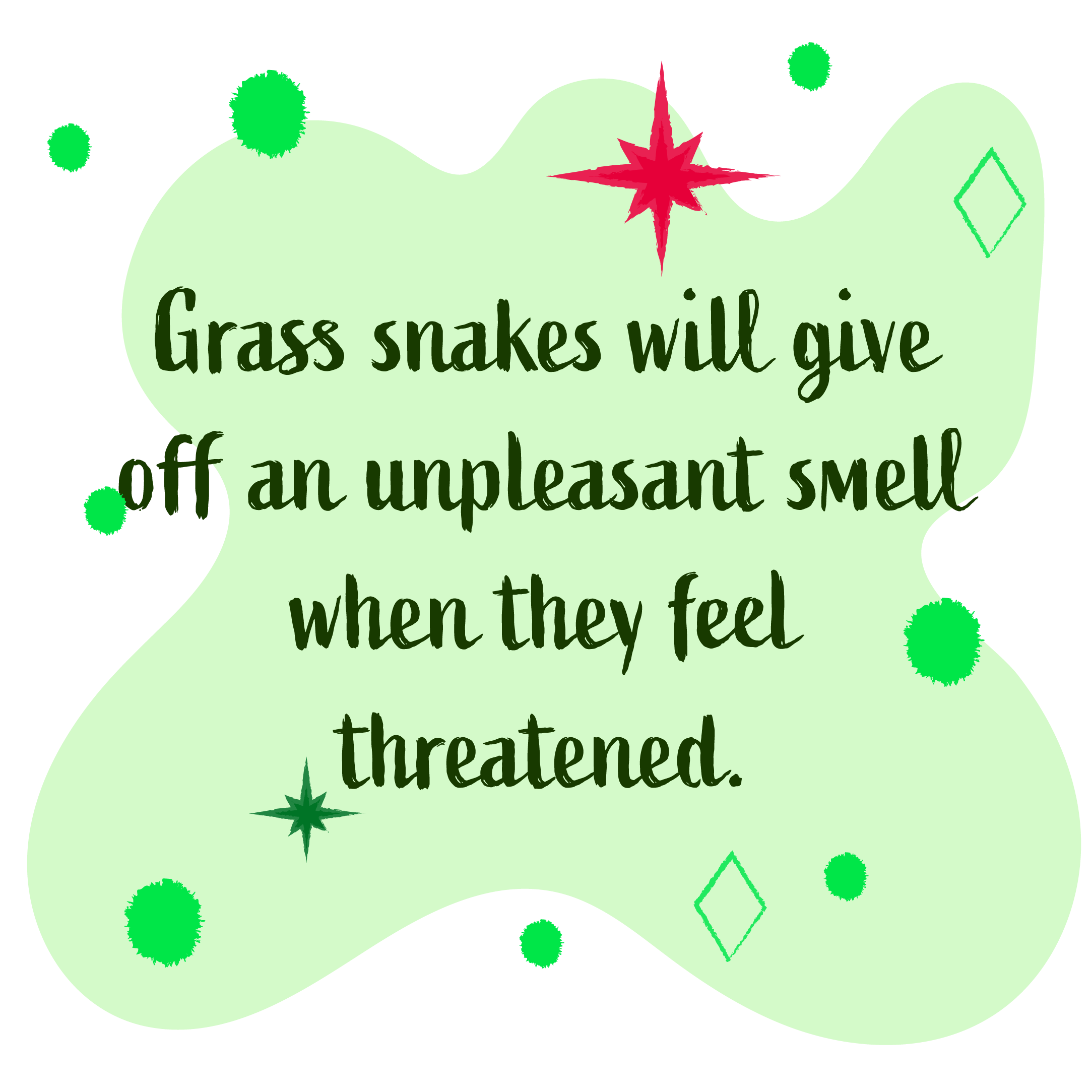 Grass snakes will give off an unpleasant smell when they feel threatened.