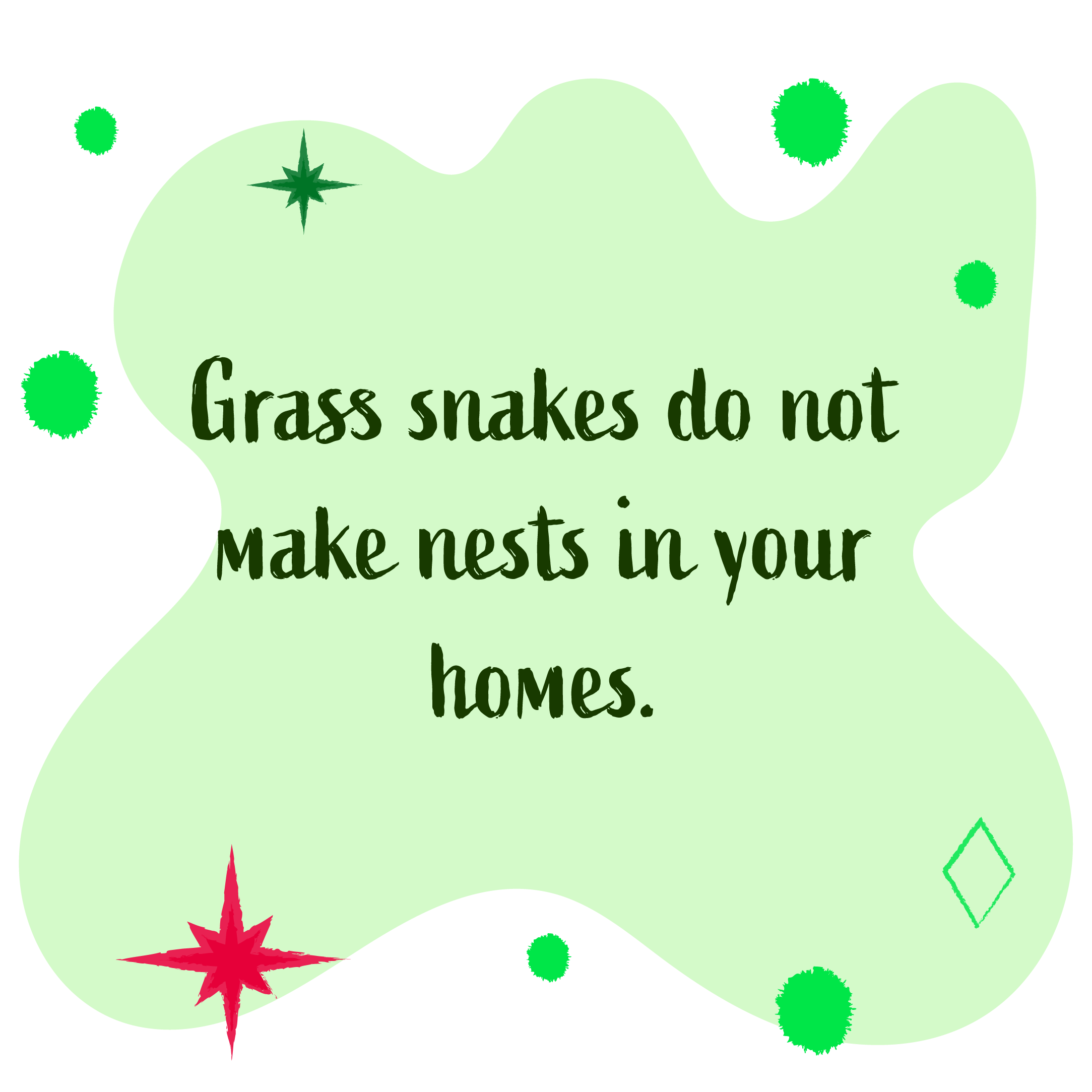 Grass snakes do not make nests in your