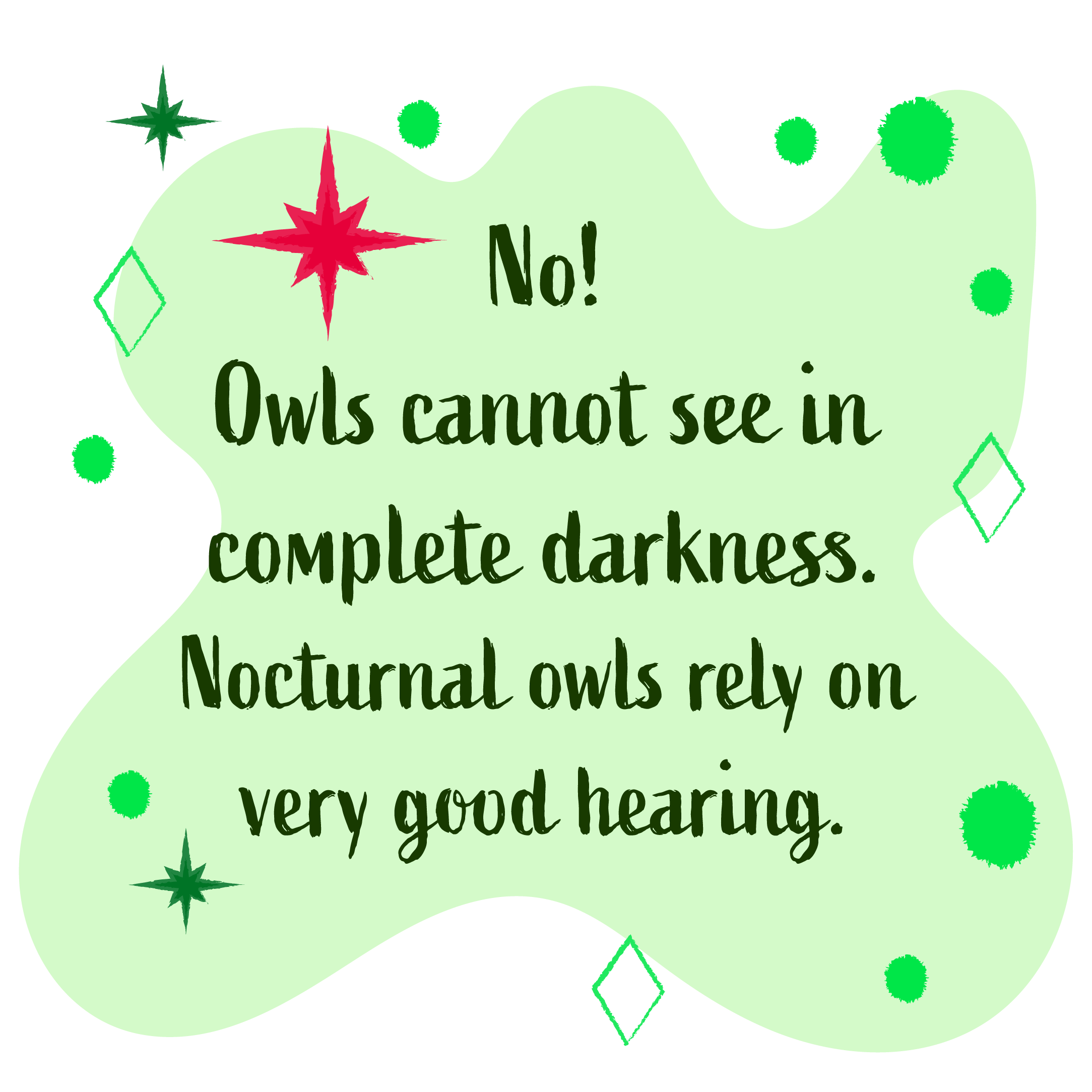 No! owls cannot see in complete darkness. Nocturnal owls rely on very good hearing.