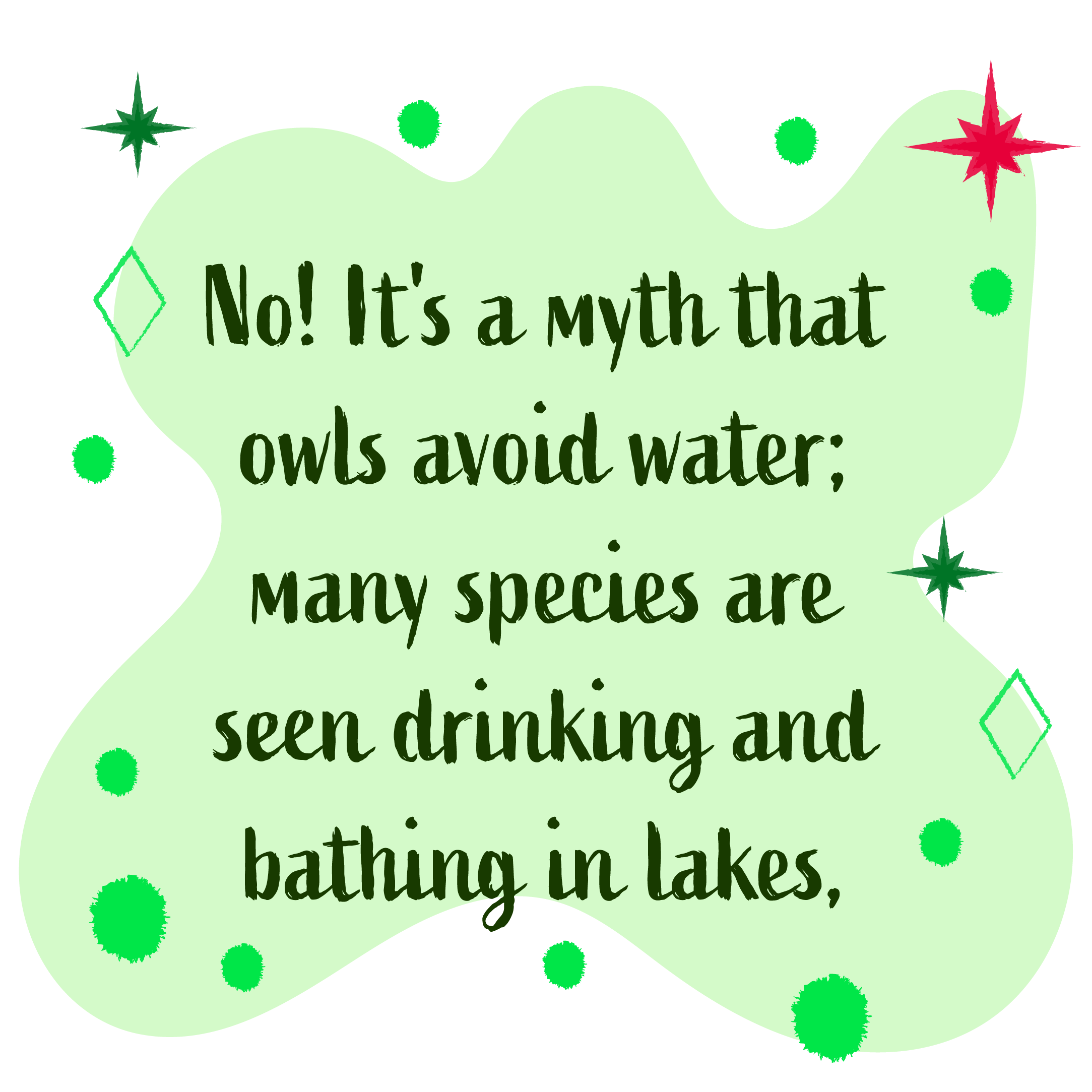 No, it's a myth that owls avoid water: many species have been seen drinking and bath in lakes and streams.