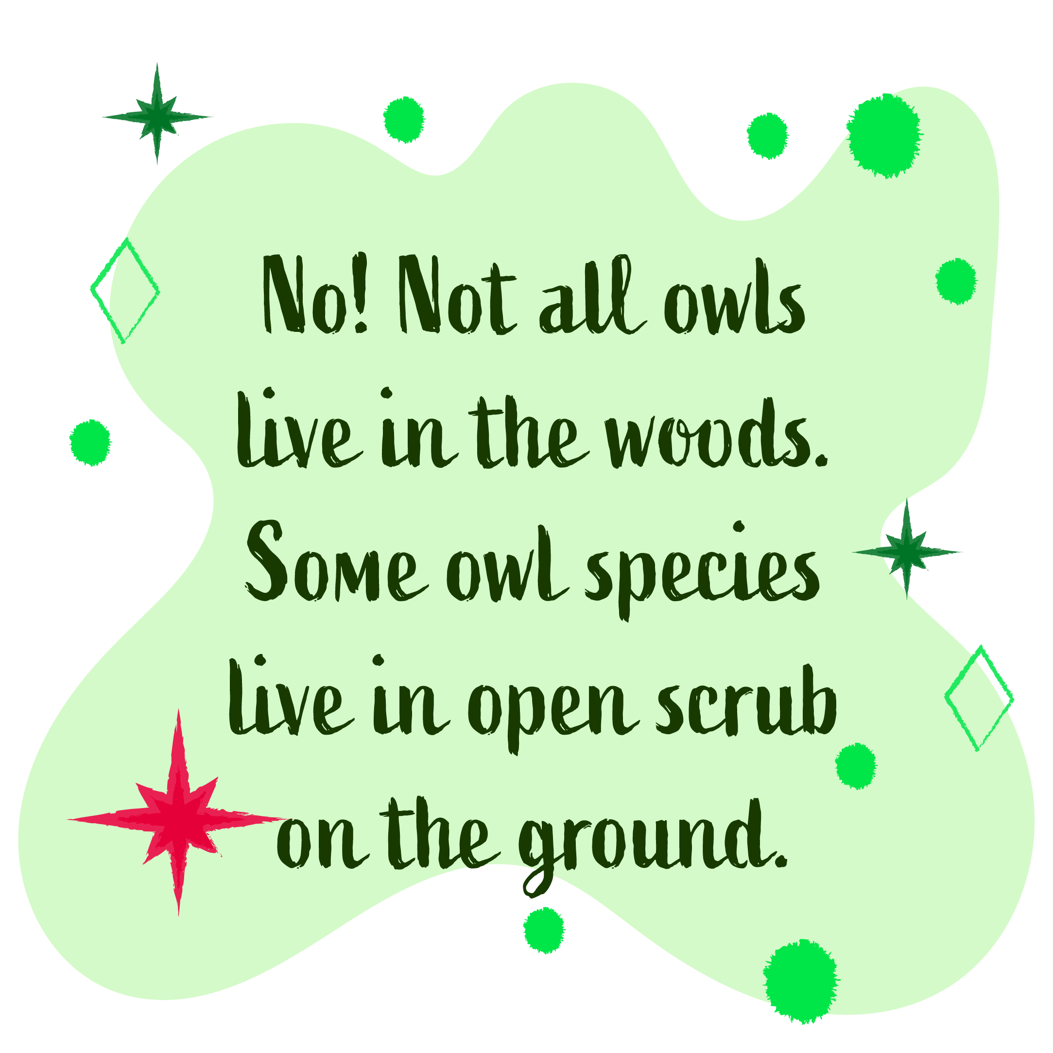 No, not all owls live in the woods. Some owl species live in open scrub on the ground.
