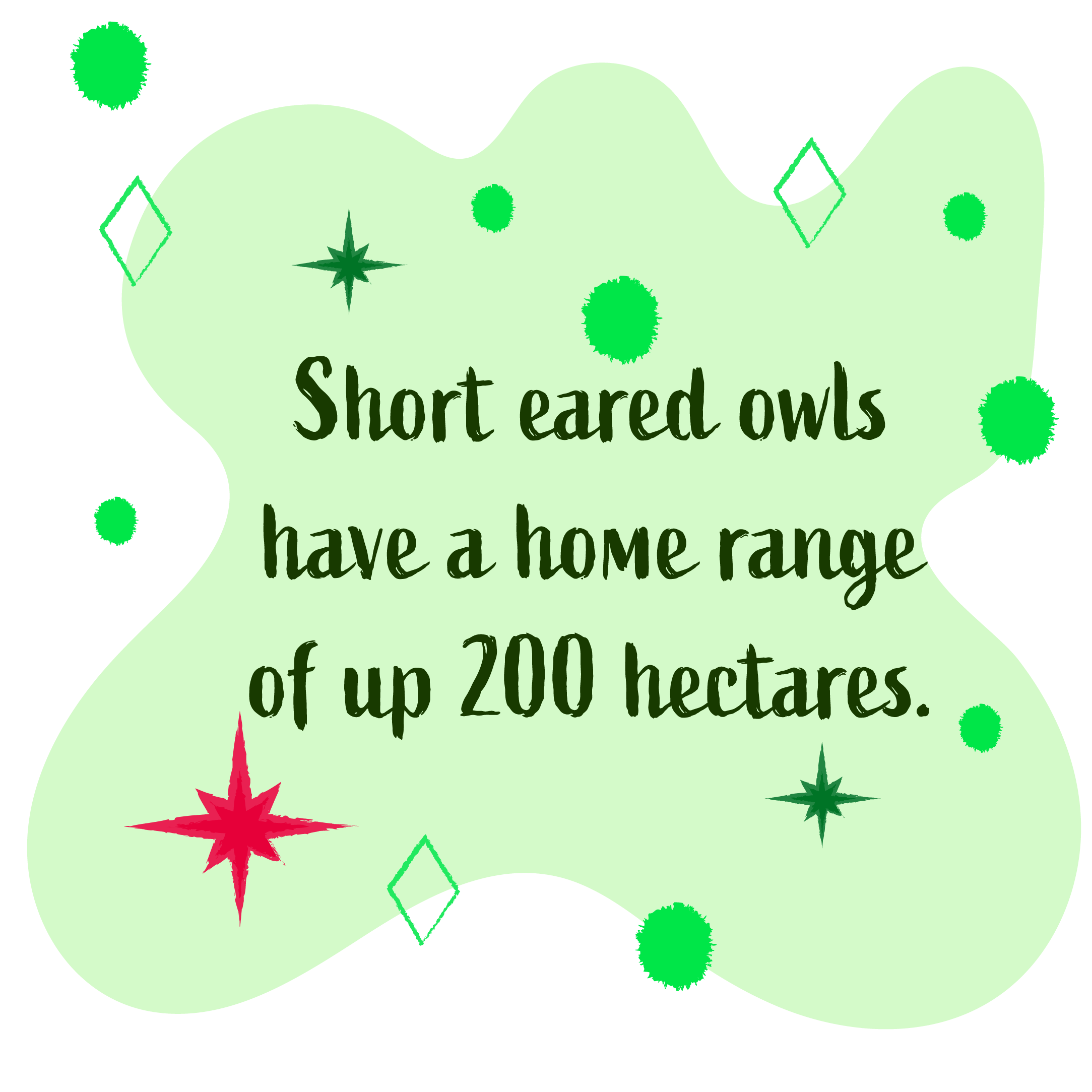 Short eared owls have a home range of 200 hectares.