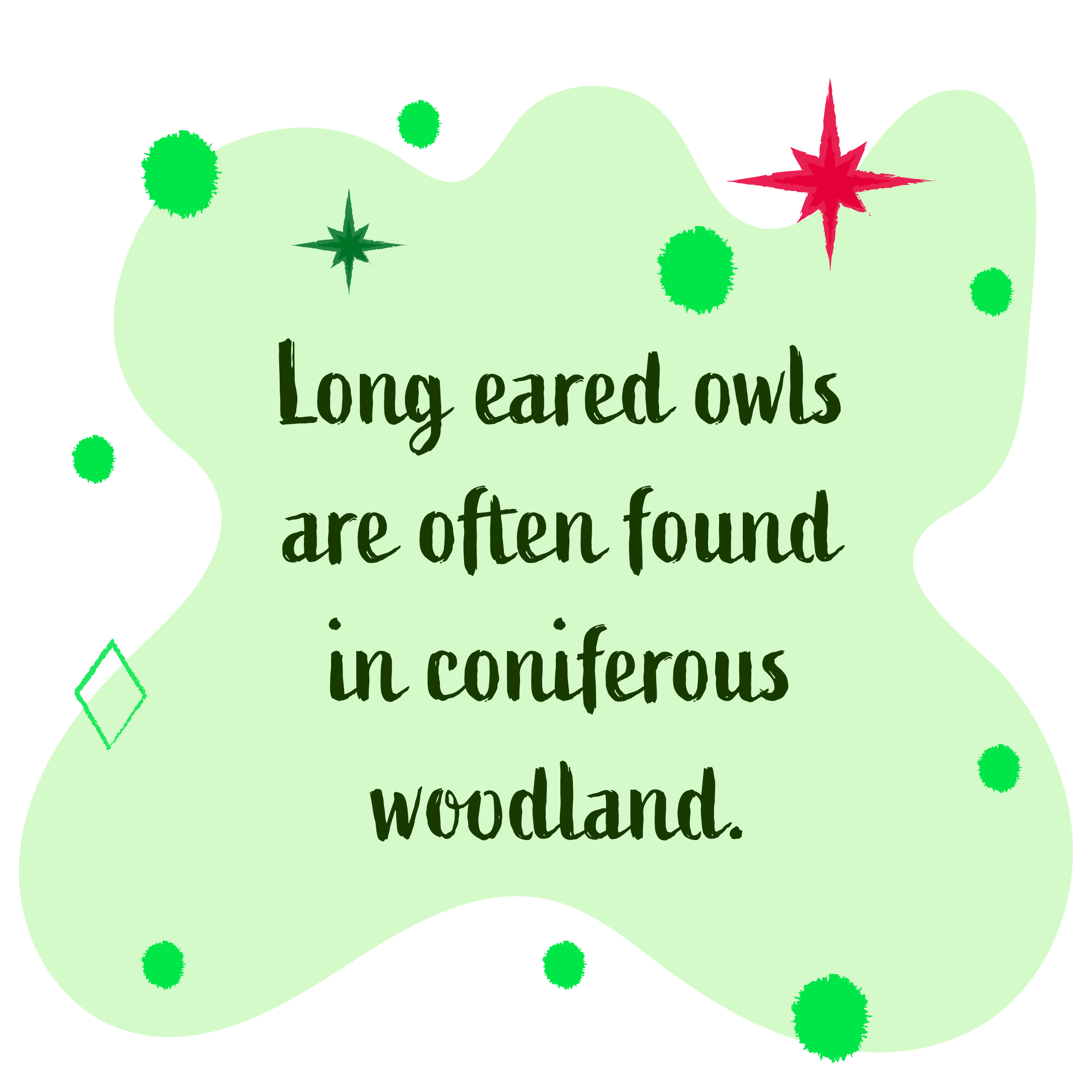 Long eared owls are often found in coniferous woodland