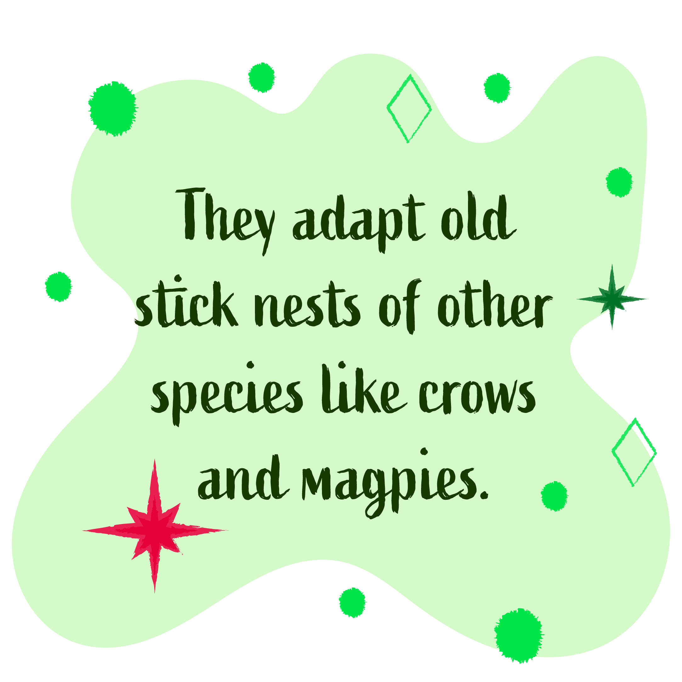 They adapt old sticks nests of other speices like crows and magpies (long eared owls)