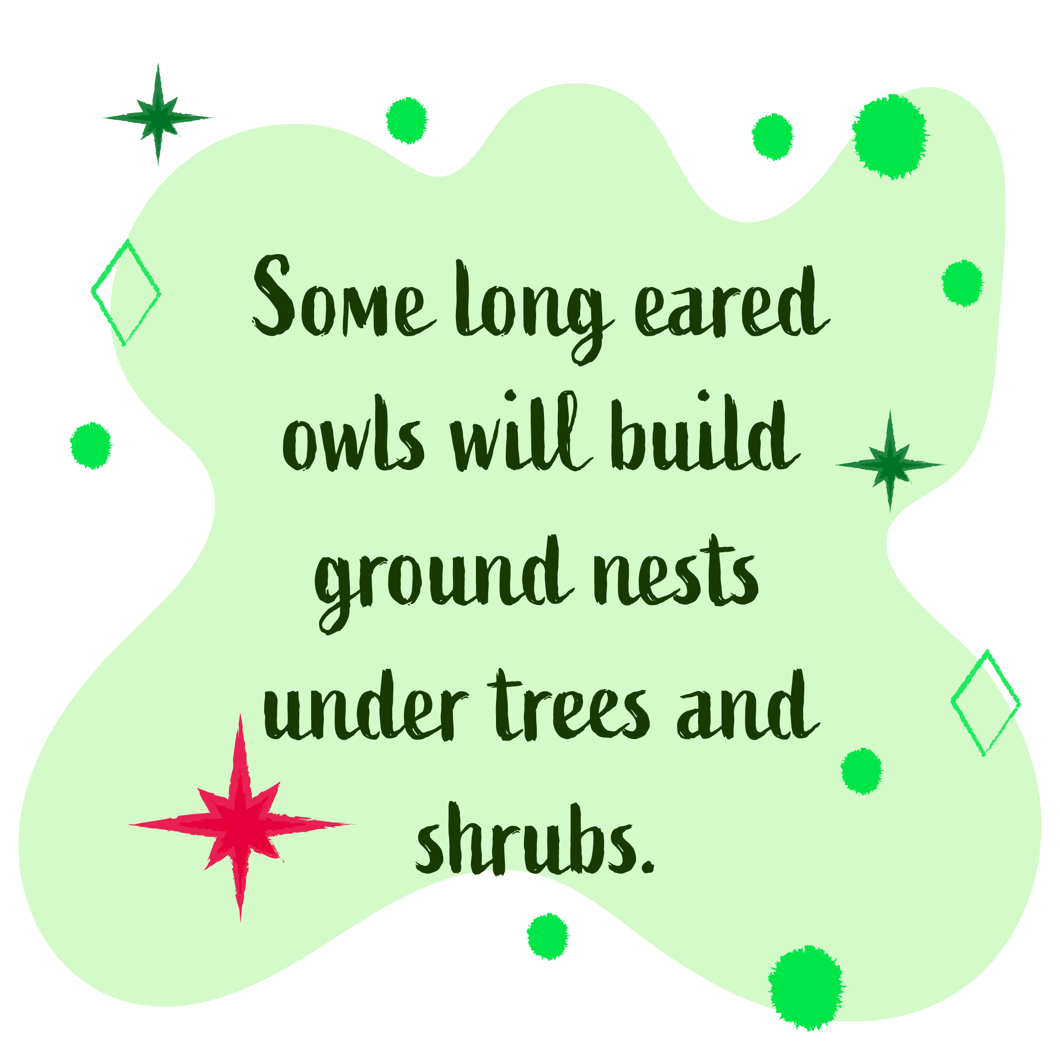 Some long eared owls will build ground nests under trees and shrubs.