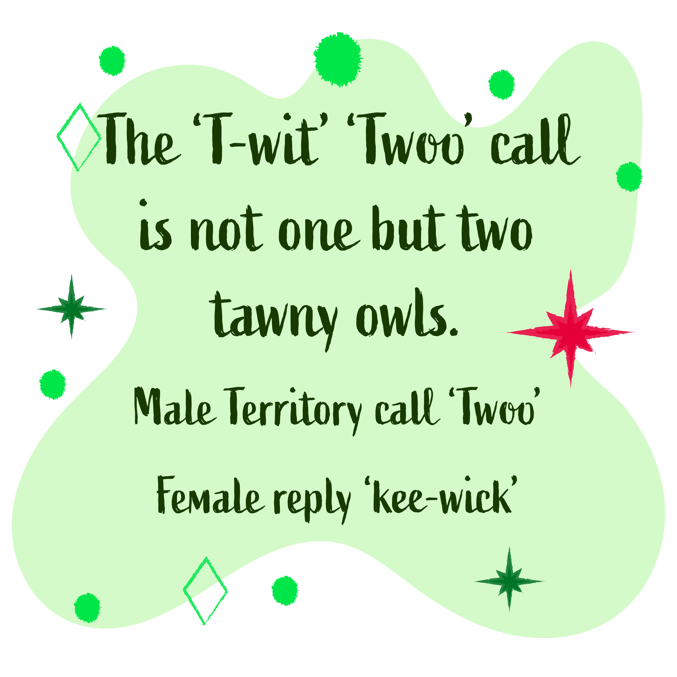 The twit-twoo call is not one but two tawny owls. Male calls 'twoo' female calls 'keewick'