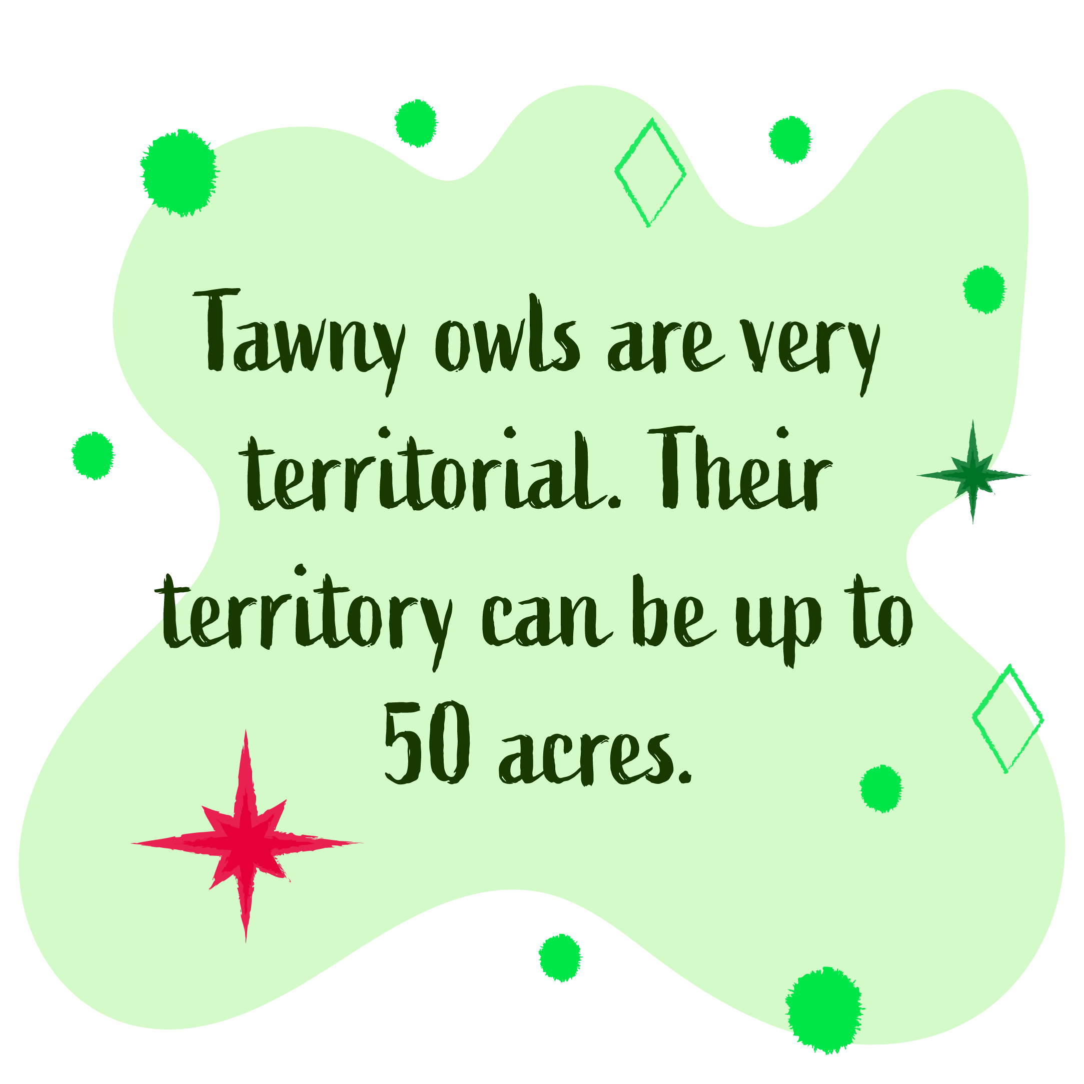 Tawny owls are very territorial. Their territory can be up to 50 acres.