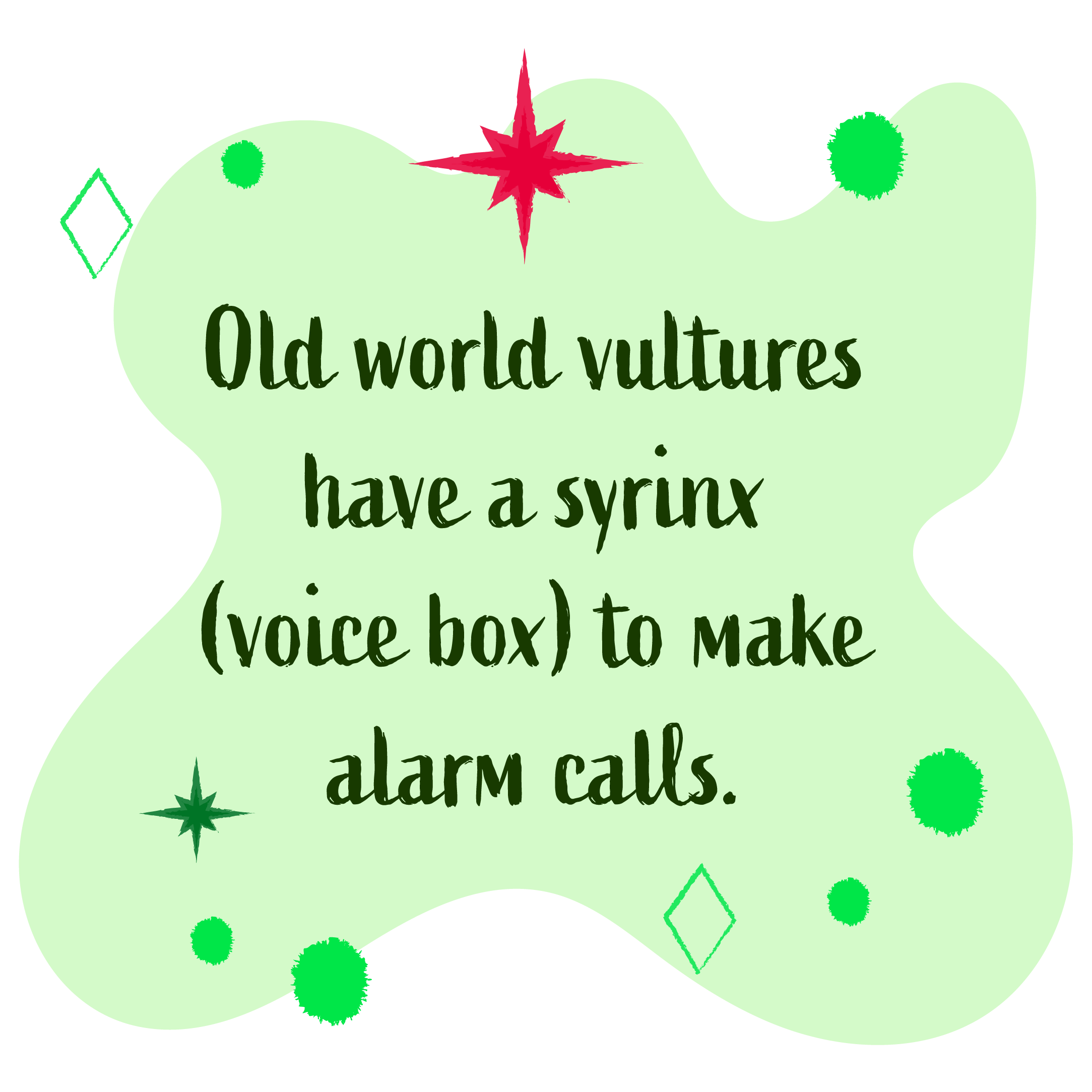 Old world vultures have a syrinx, voice box, to make alarm calls. 