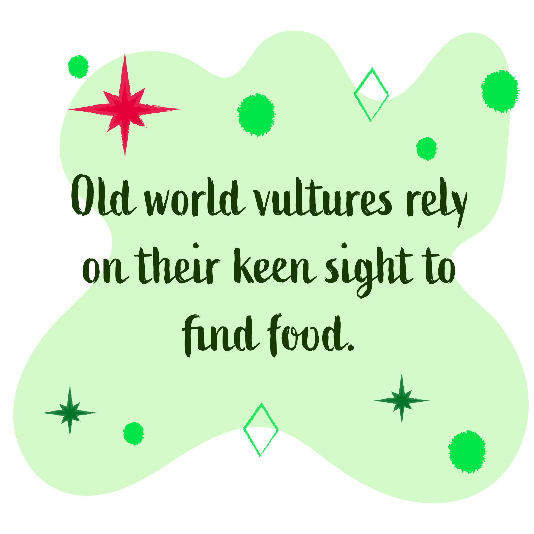 Old world vultures rely on their keen sight find food.