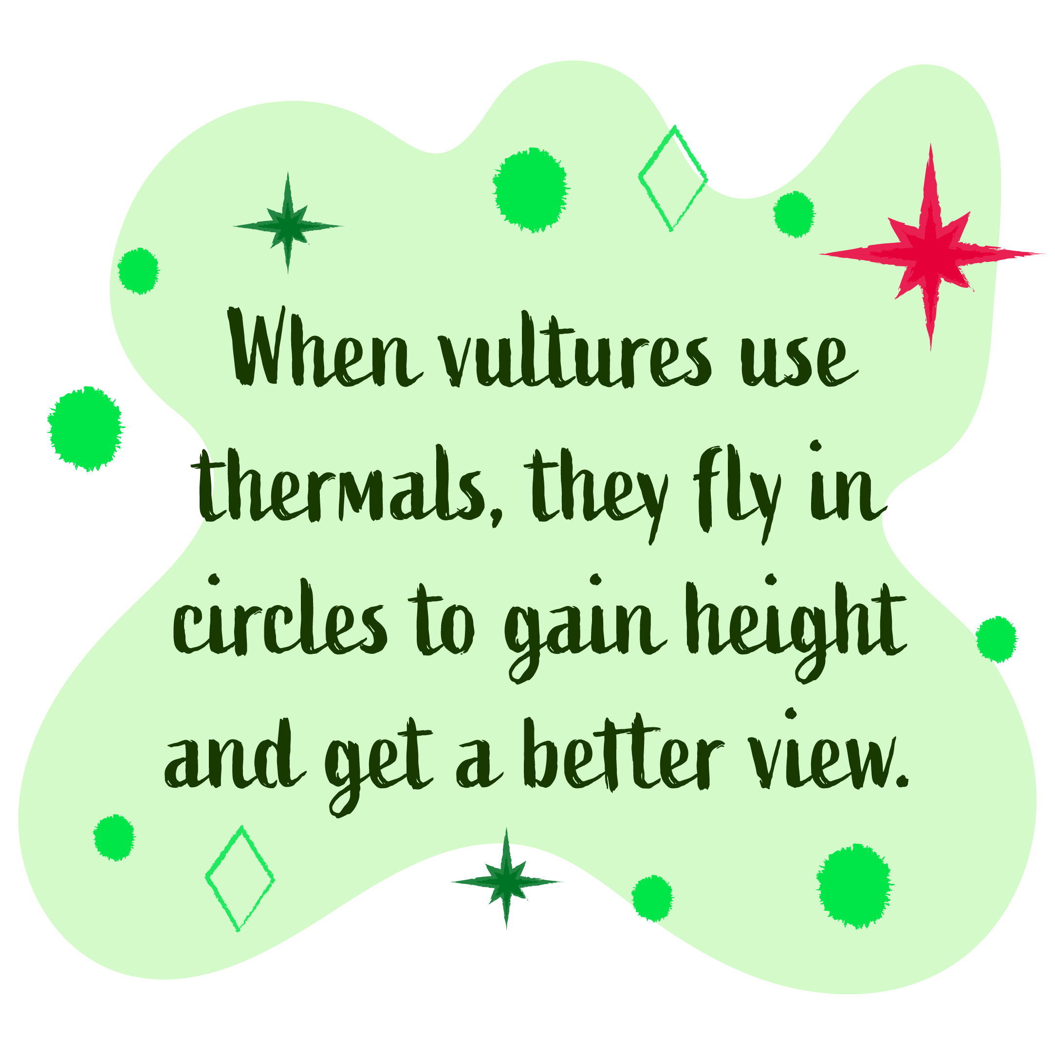 When vultures use thermals they fly in circles to gain height and get a better view