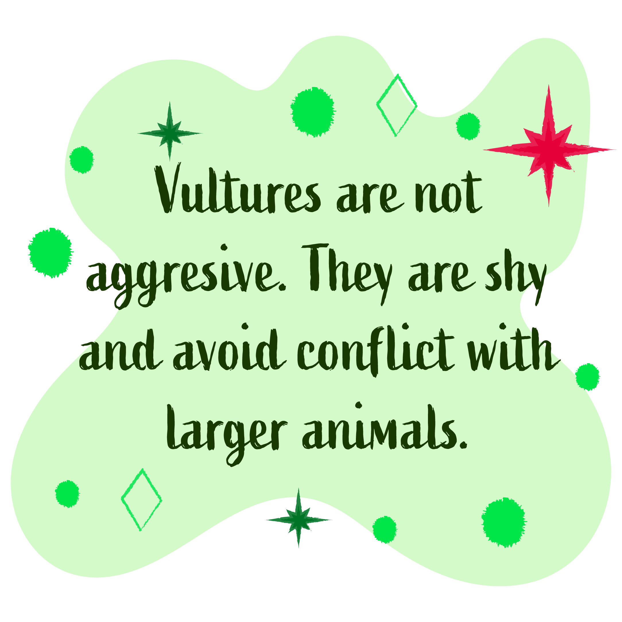 Vultures are not aggressive. They are shy and avoid conflict with larger animals.