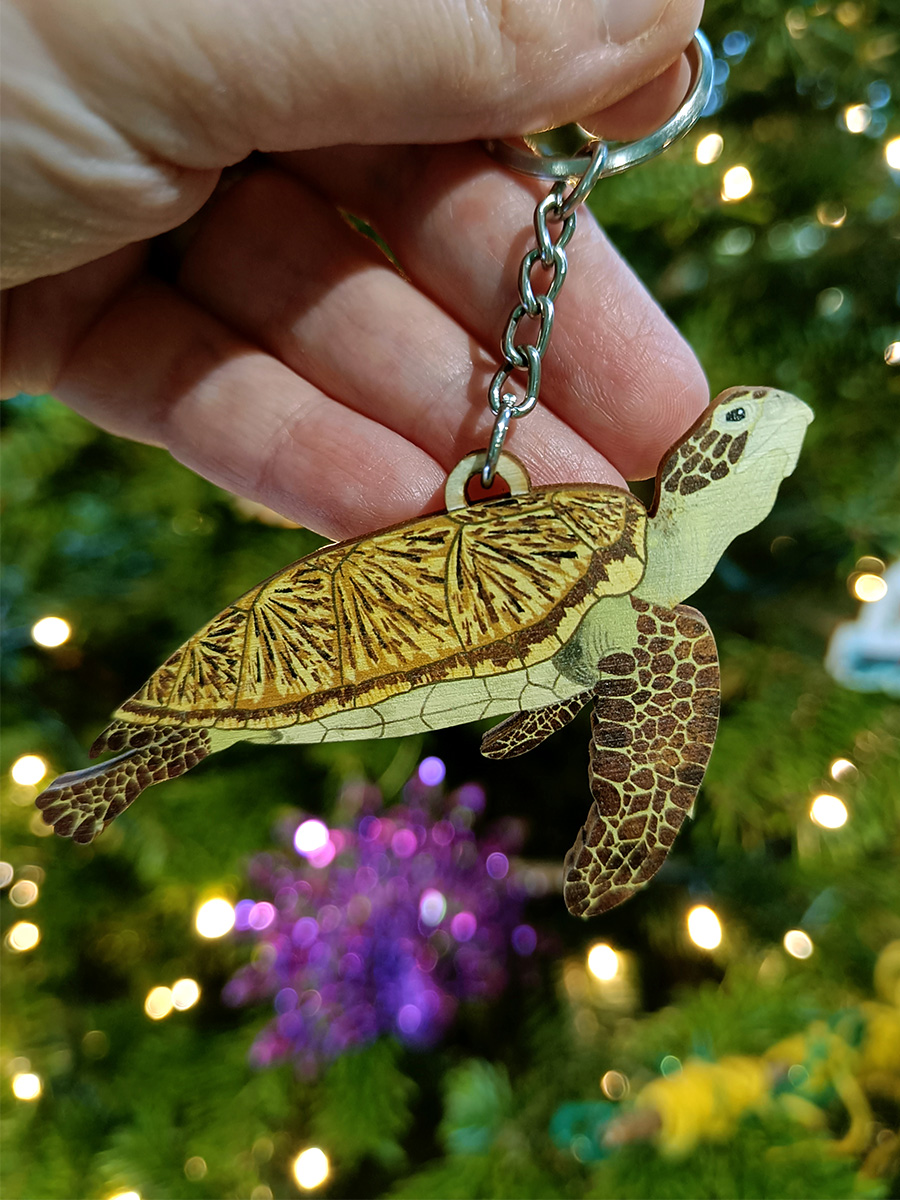 Green sea turtle uv printed wooden keyring illustrated by Min Dawson for Curious Kin