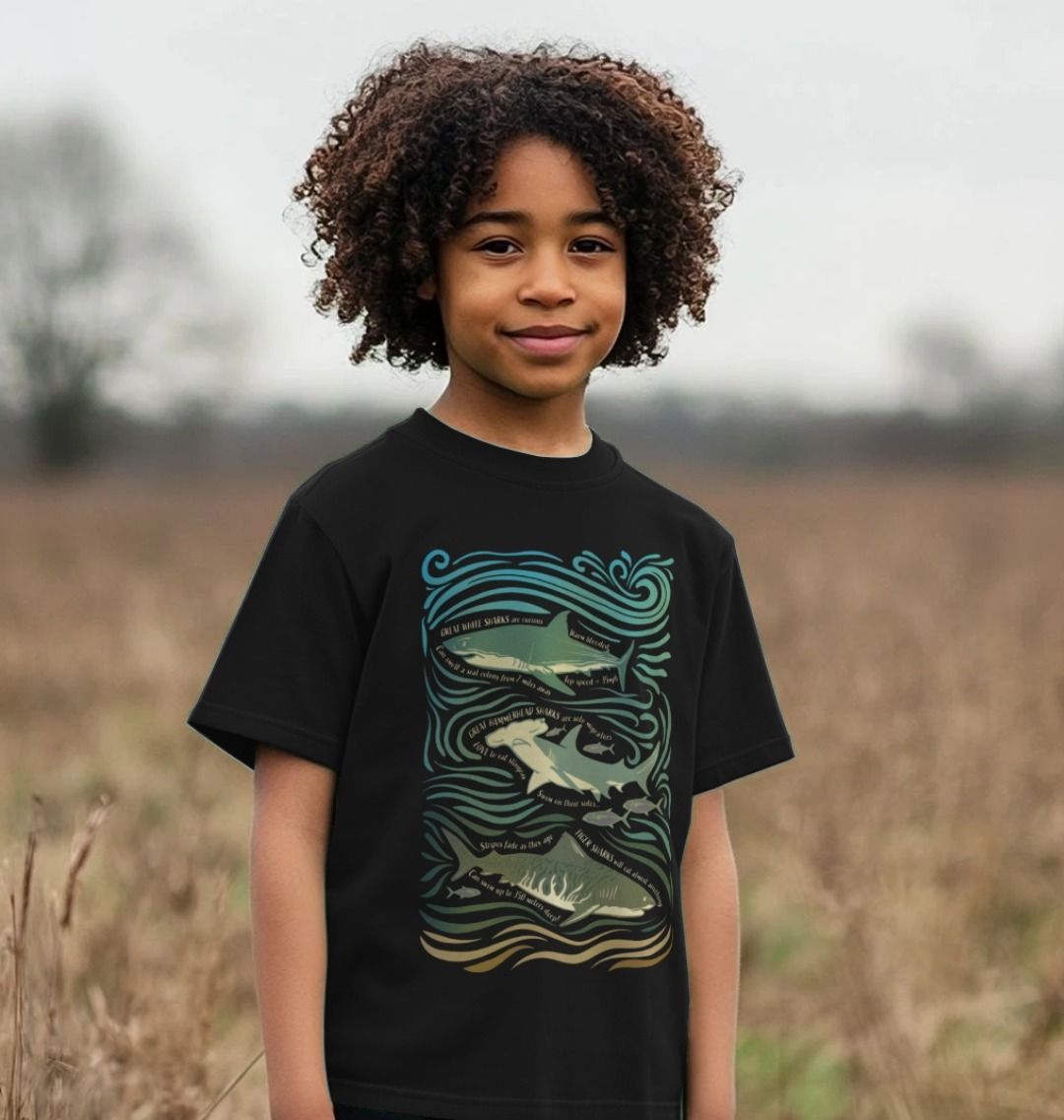 Boy wearing sharks fun fact printed organic t-shirt in a field.