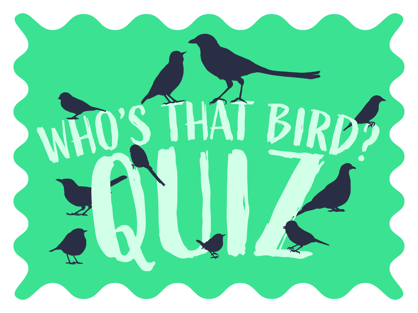 who's that bird quiz? stamp banner with british garden bird silhouettes