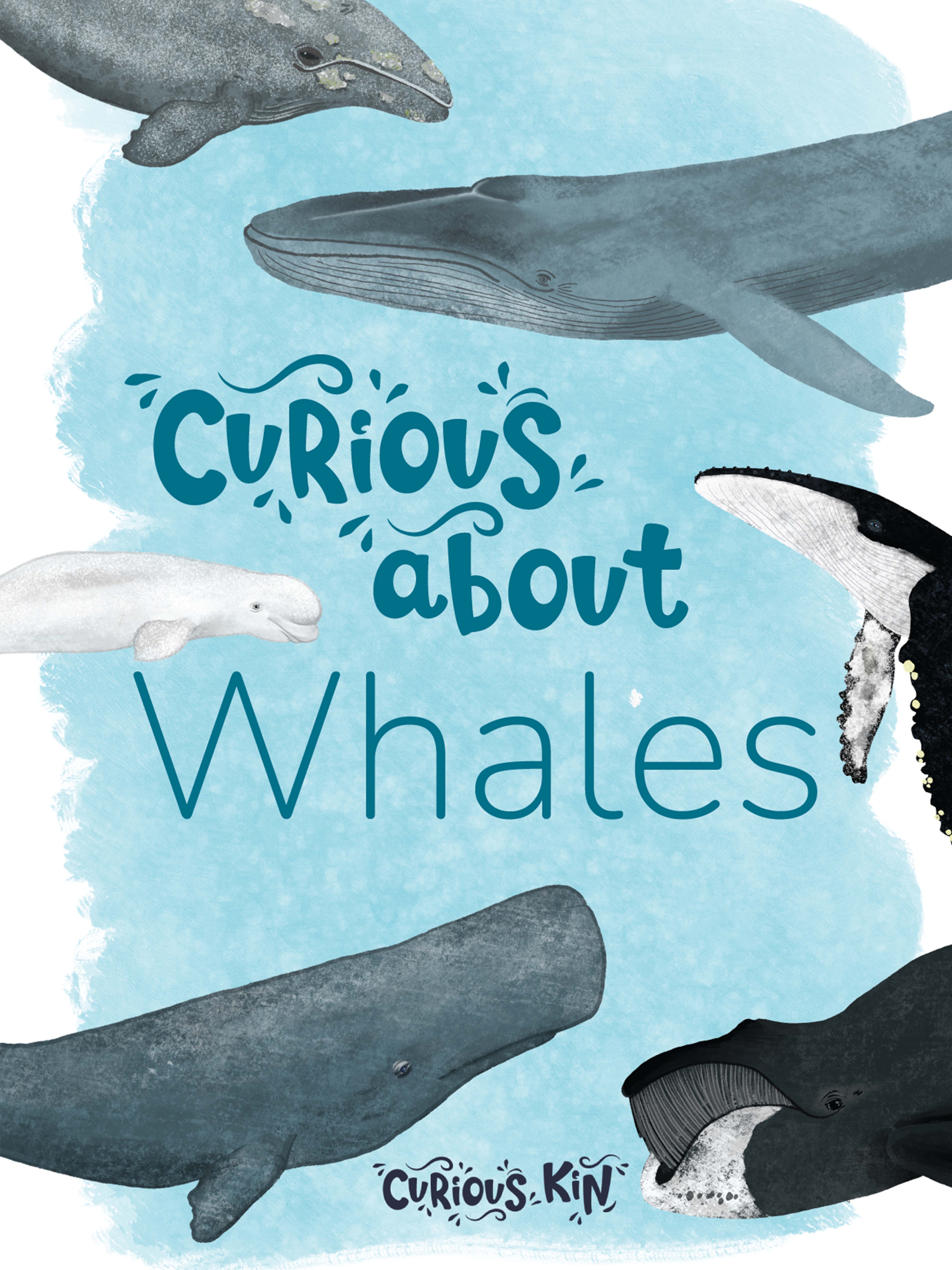 Curious about whales study unit front cover featuring illustrations of gray, blue, sperm, humpback, beluga, bowhead whale