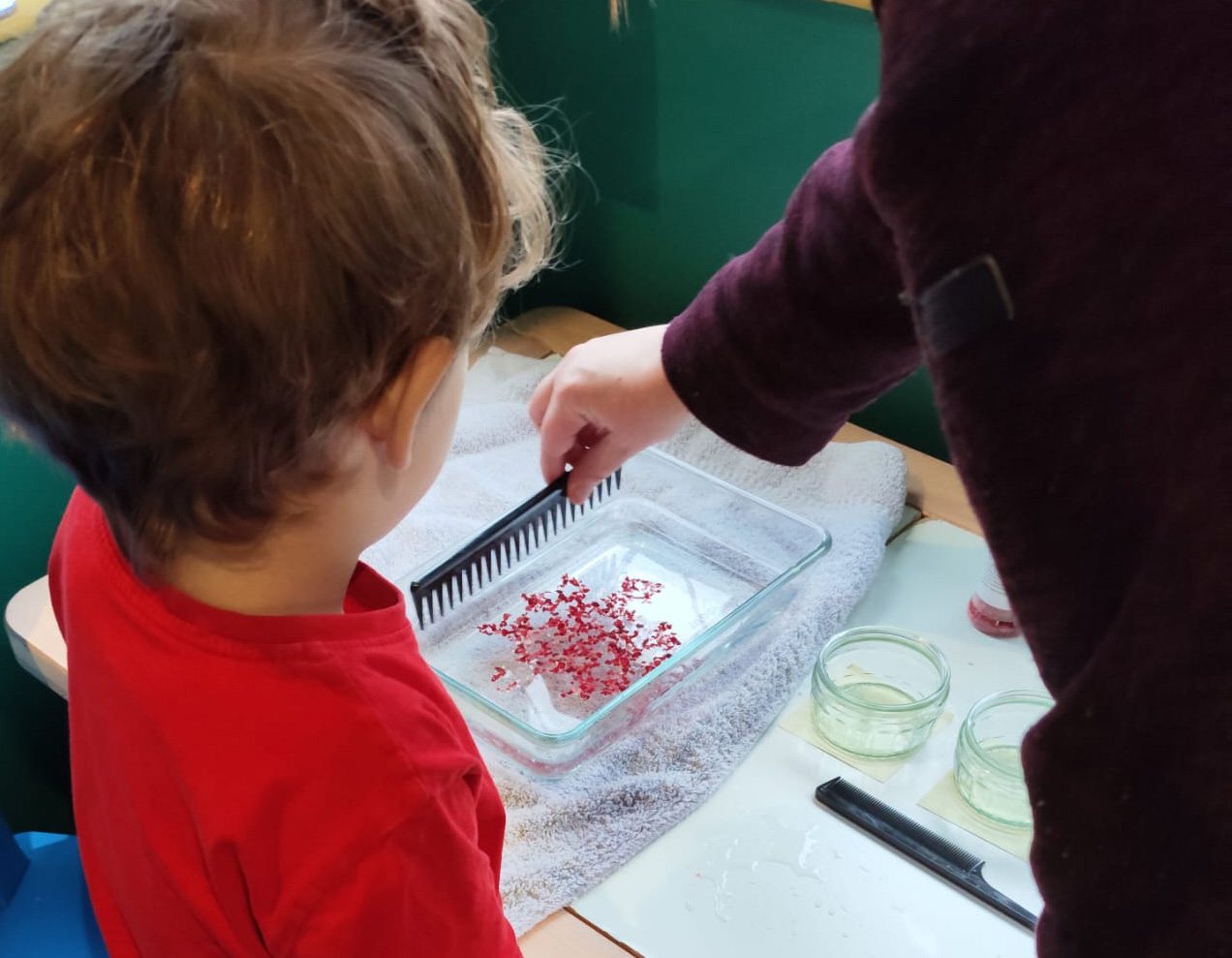 Little boy and mum using a comb to catch pretend whale food in an experiment exploring how baleen whales feed.